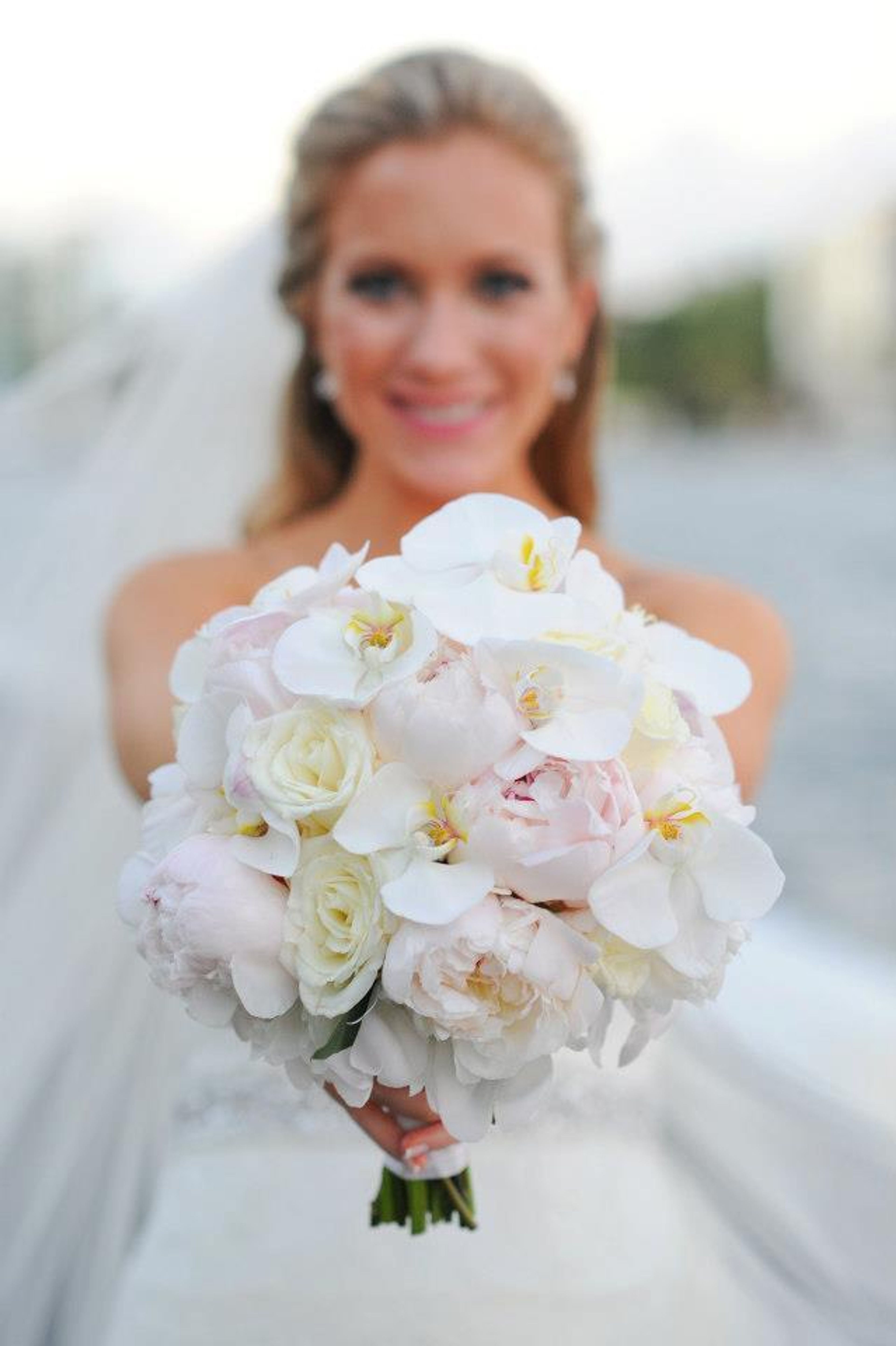 Cover photo of The Blonde Tulip