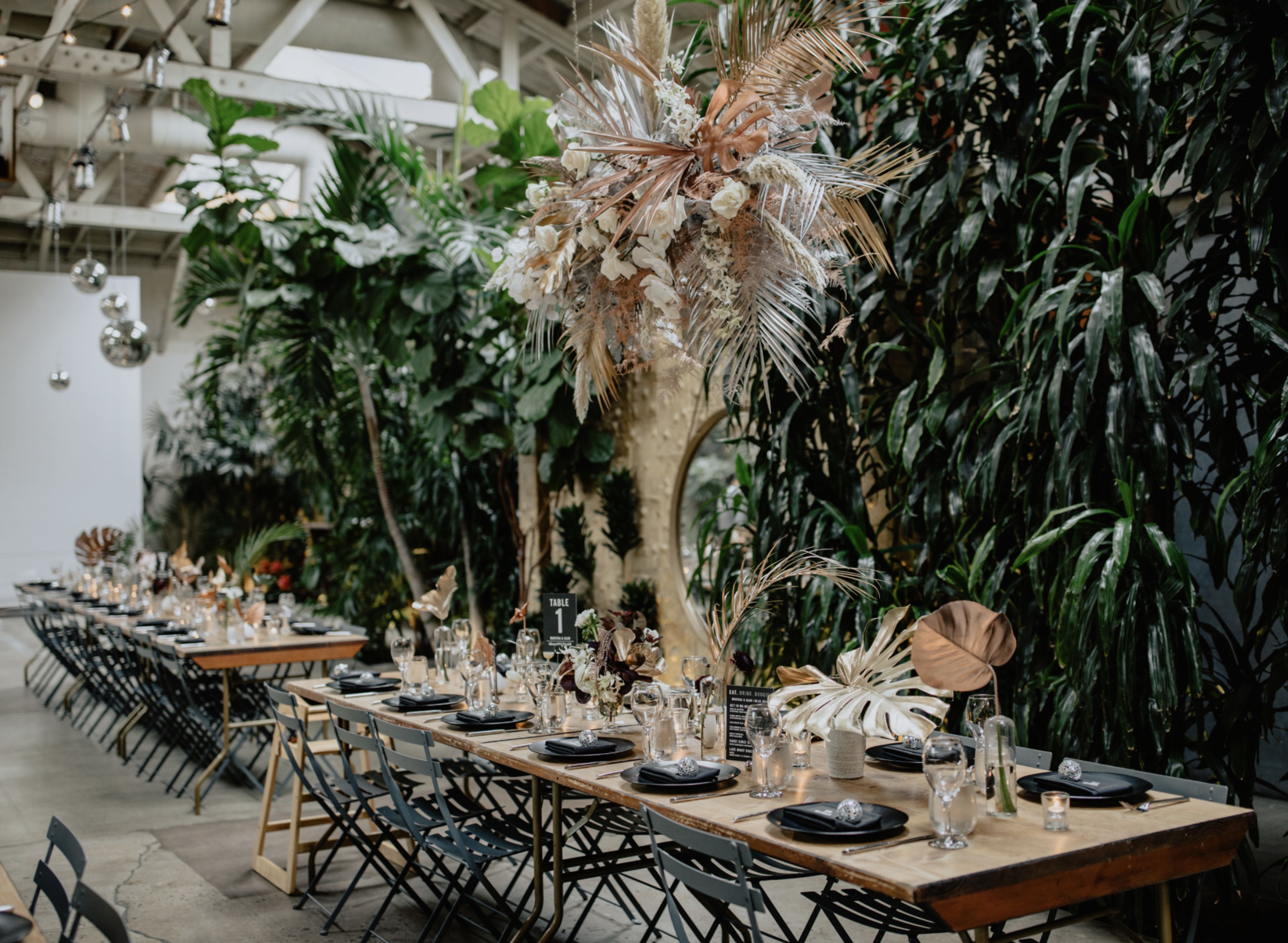 Cover photo of The Little Branch