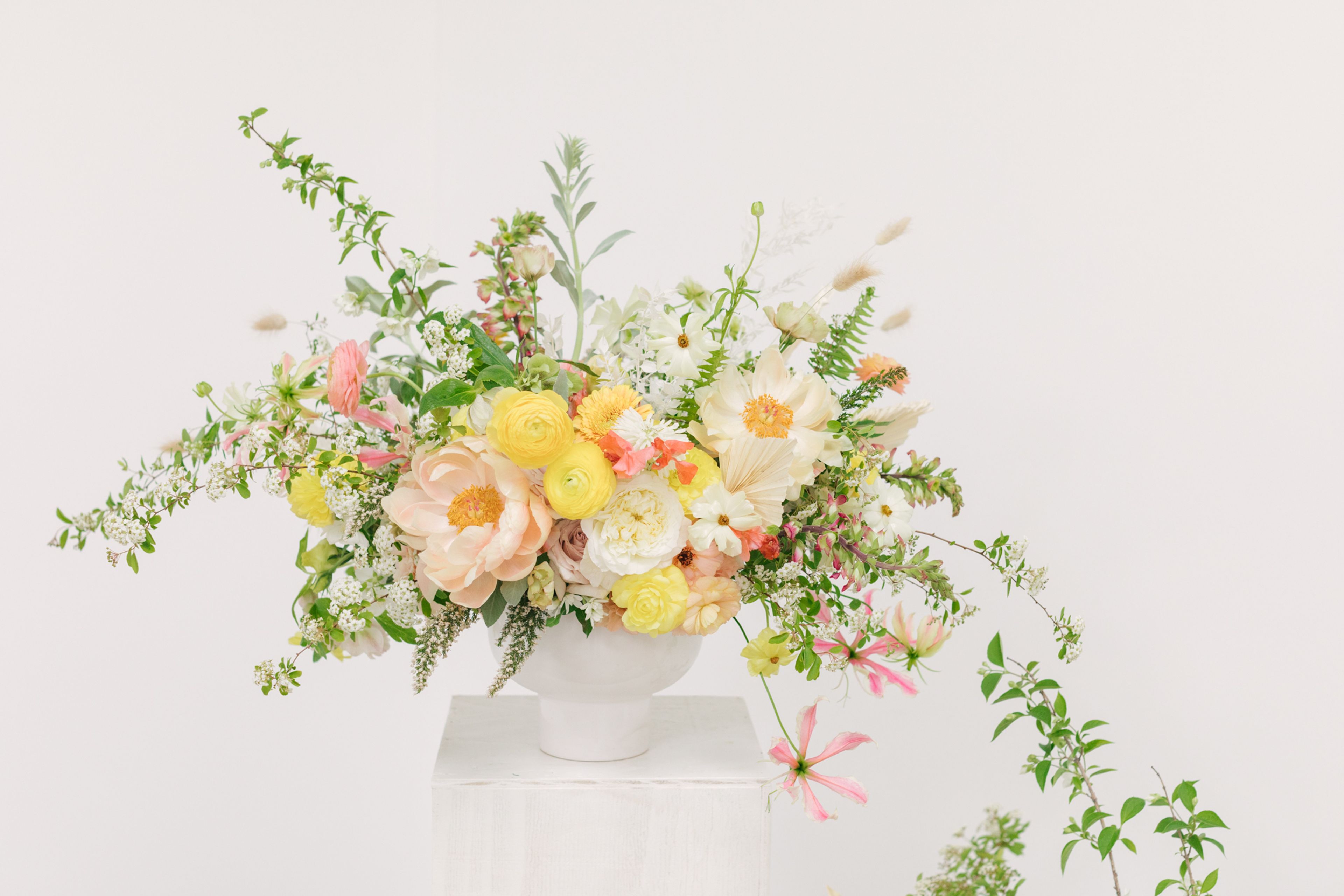 Cover photo of Foxgloves & Folly