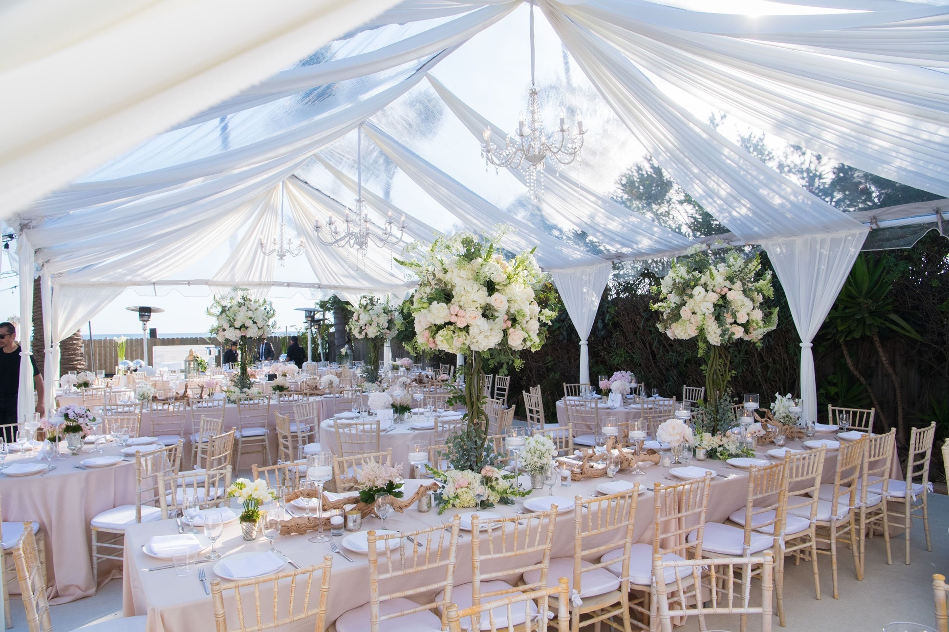 Cover photo of Blossom Floral