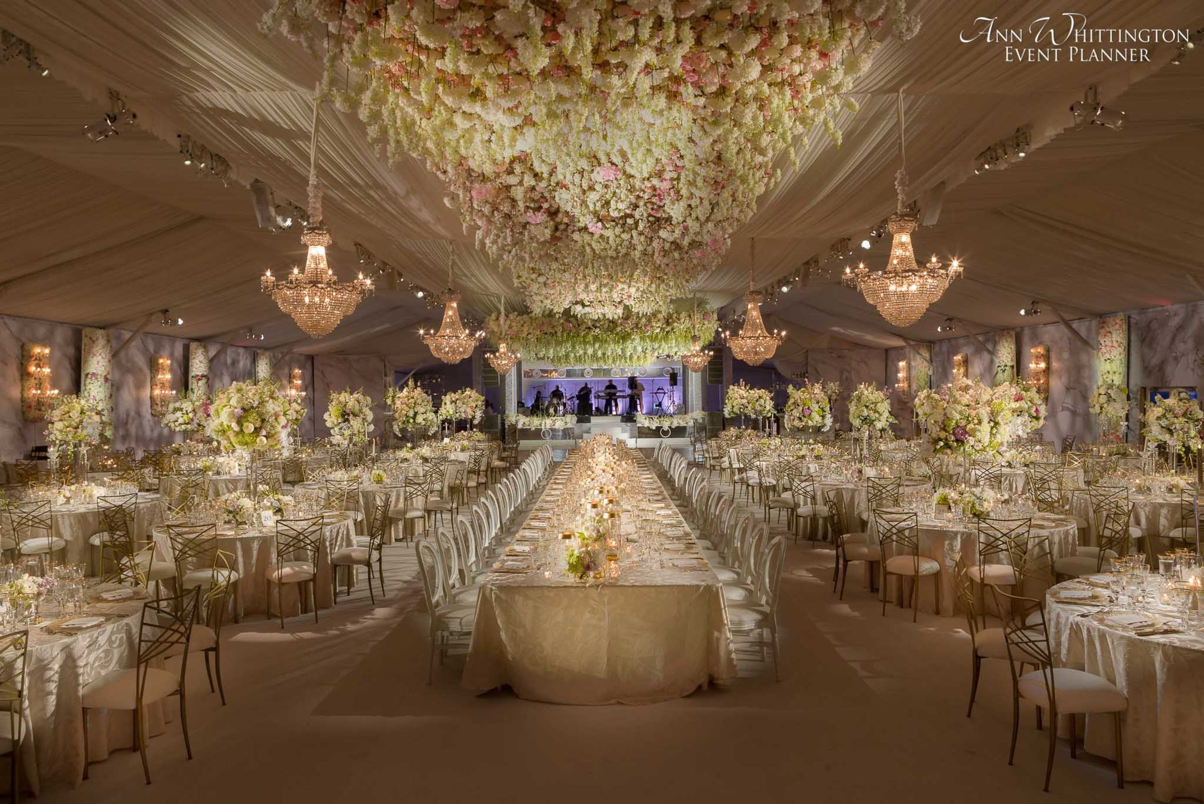 Cover photo of Ann Whittington Events