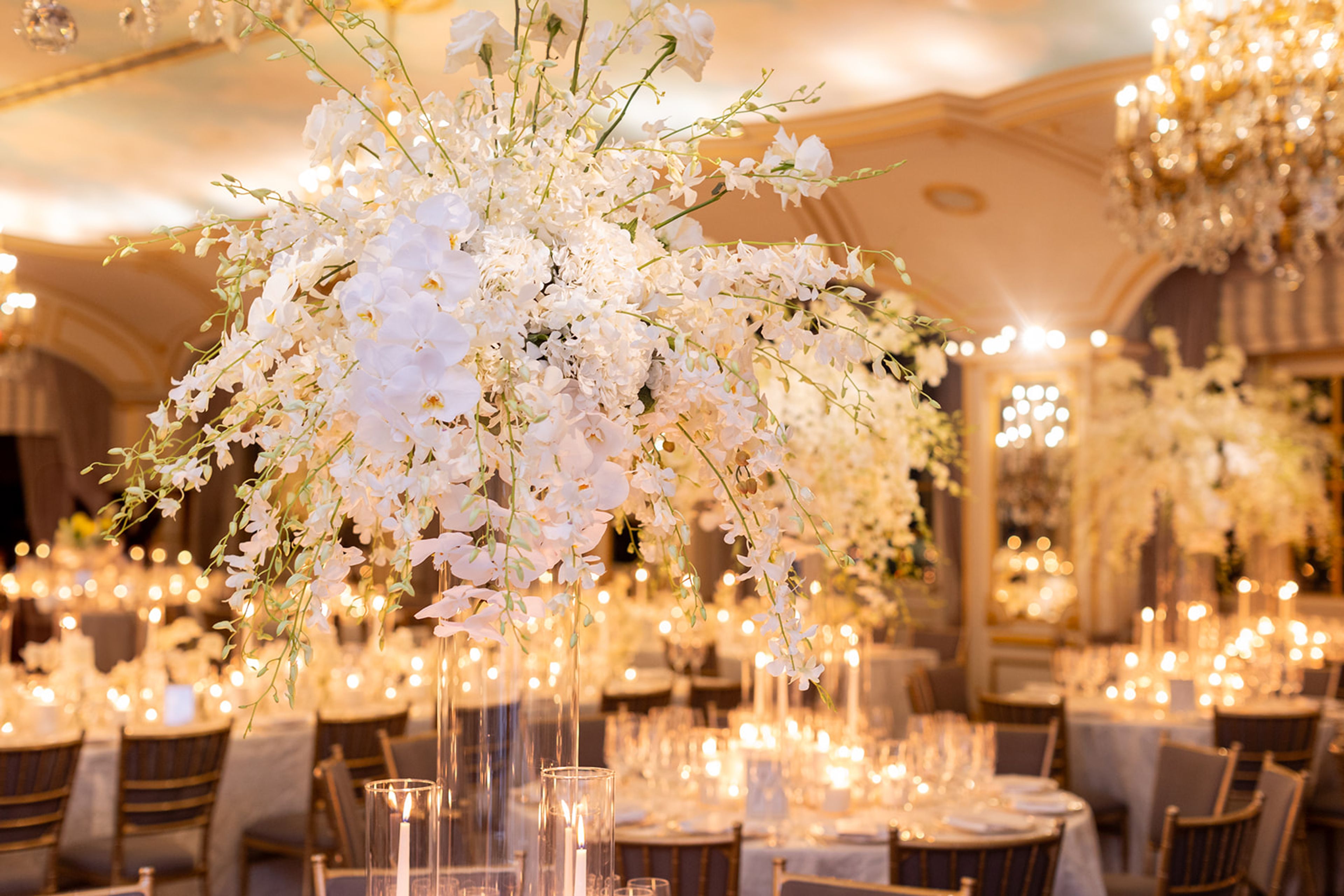 Cover photo of Marina Luri Events