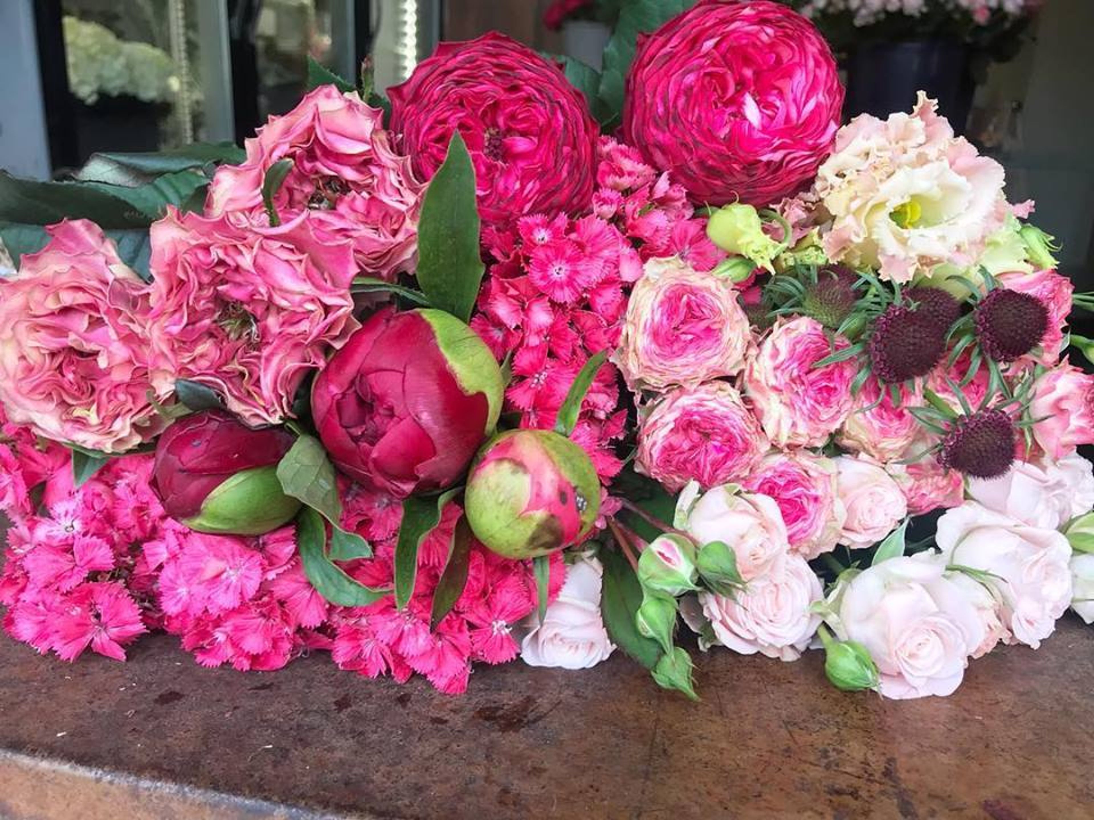 Cover photo of Bloom Tuesday