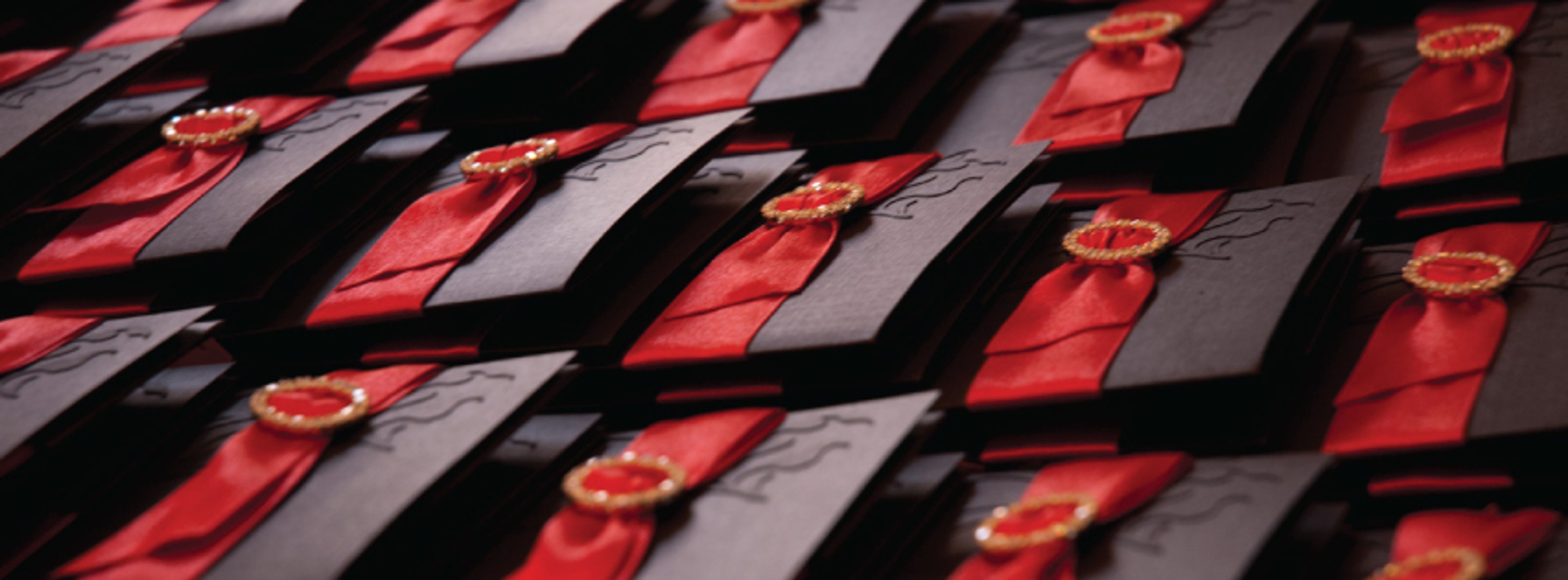 Cover photo of T. Aletta