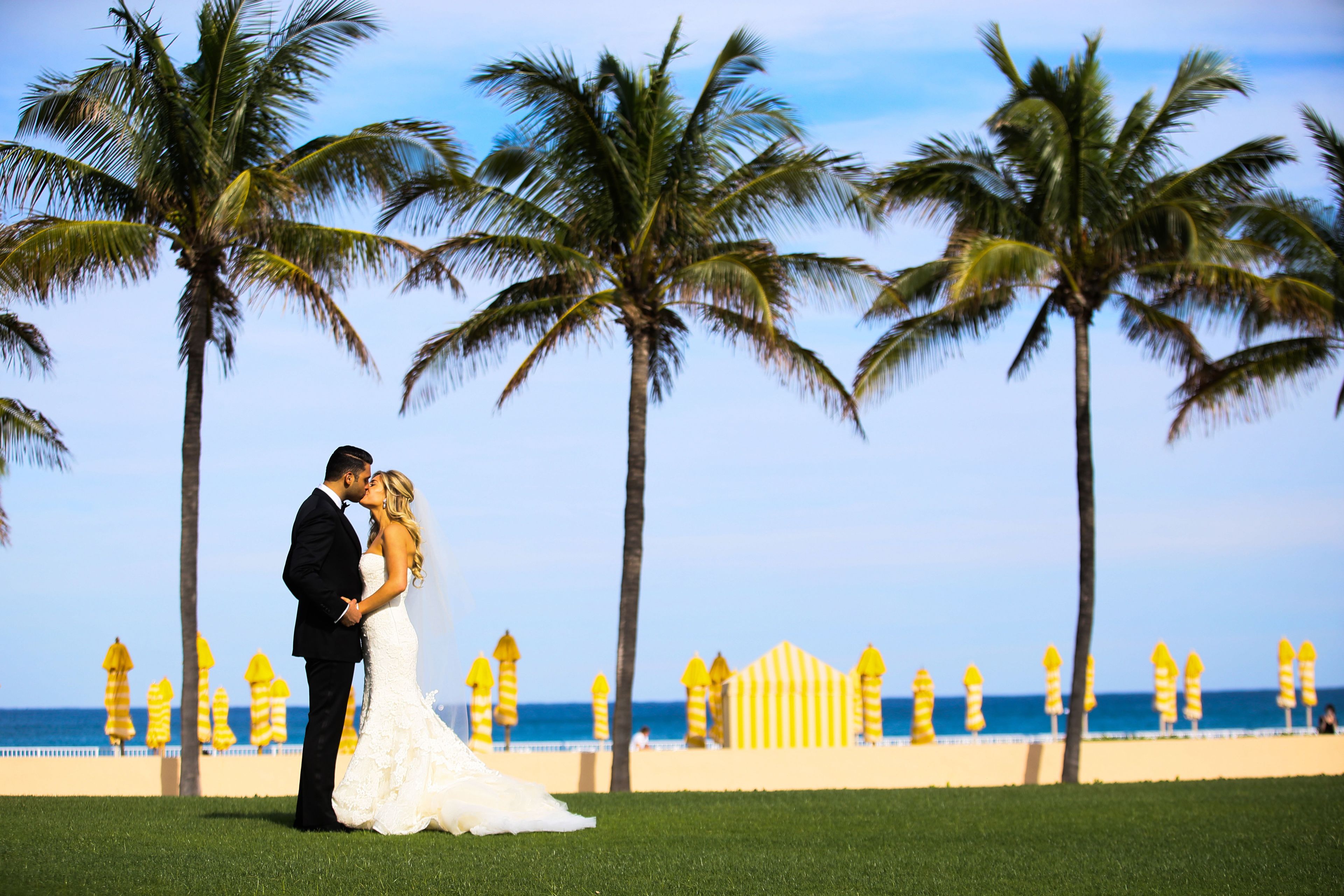 Cover photo of Bianca B. Inc.