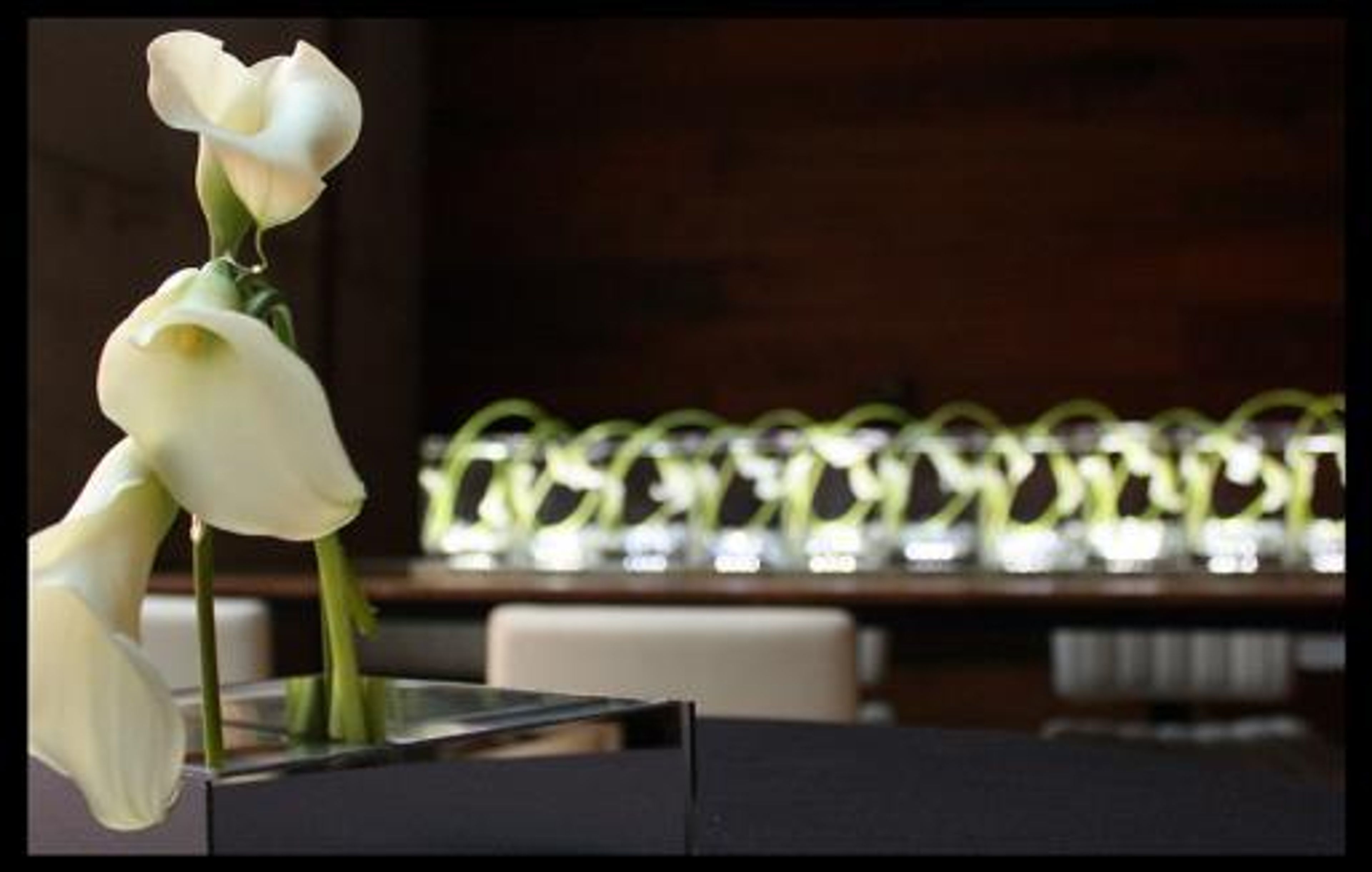 Cover photo of Mandarin Design Lab