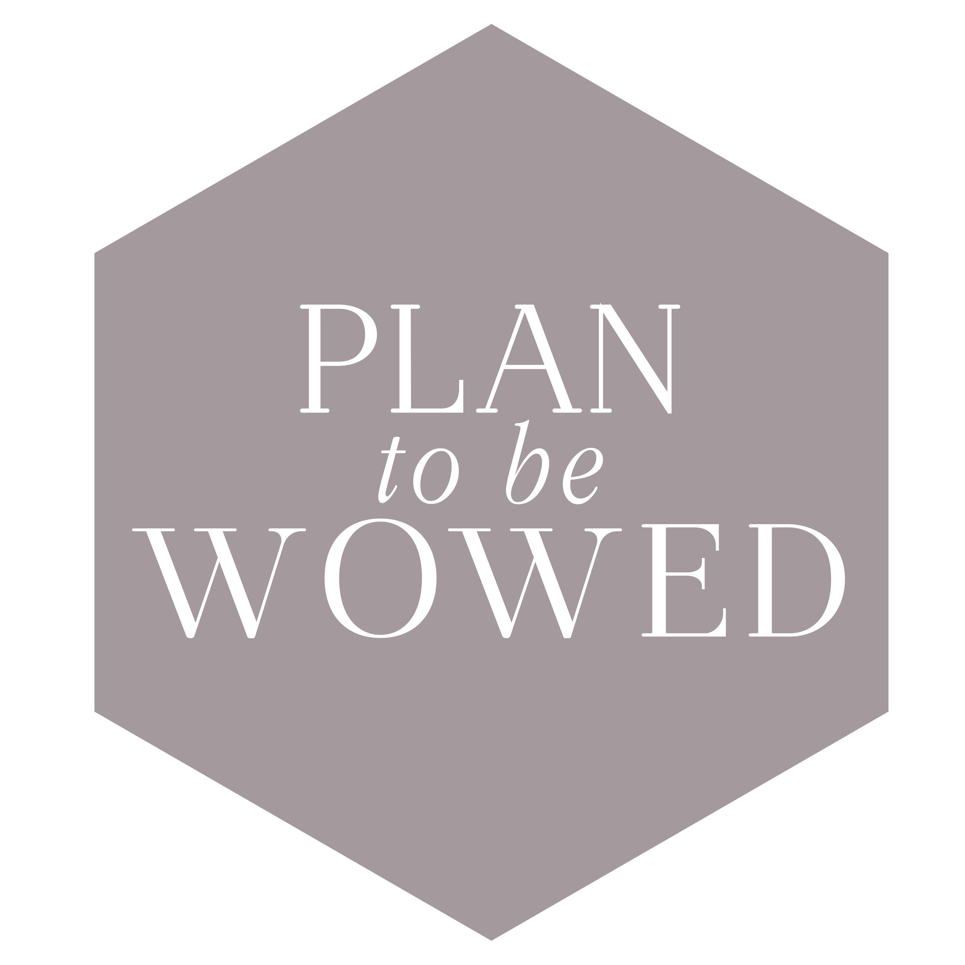 Cover photo of Plan to be Wowed