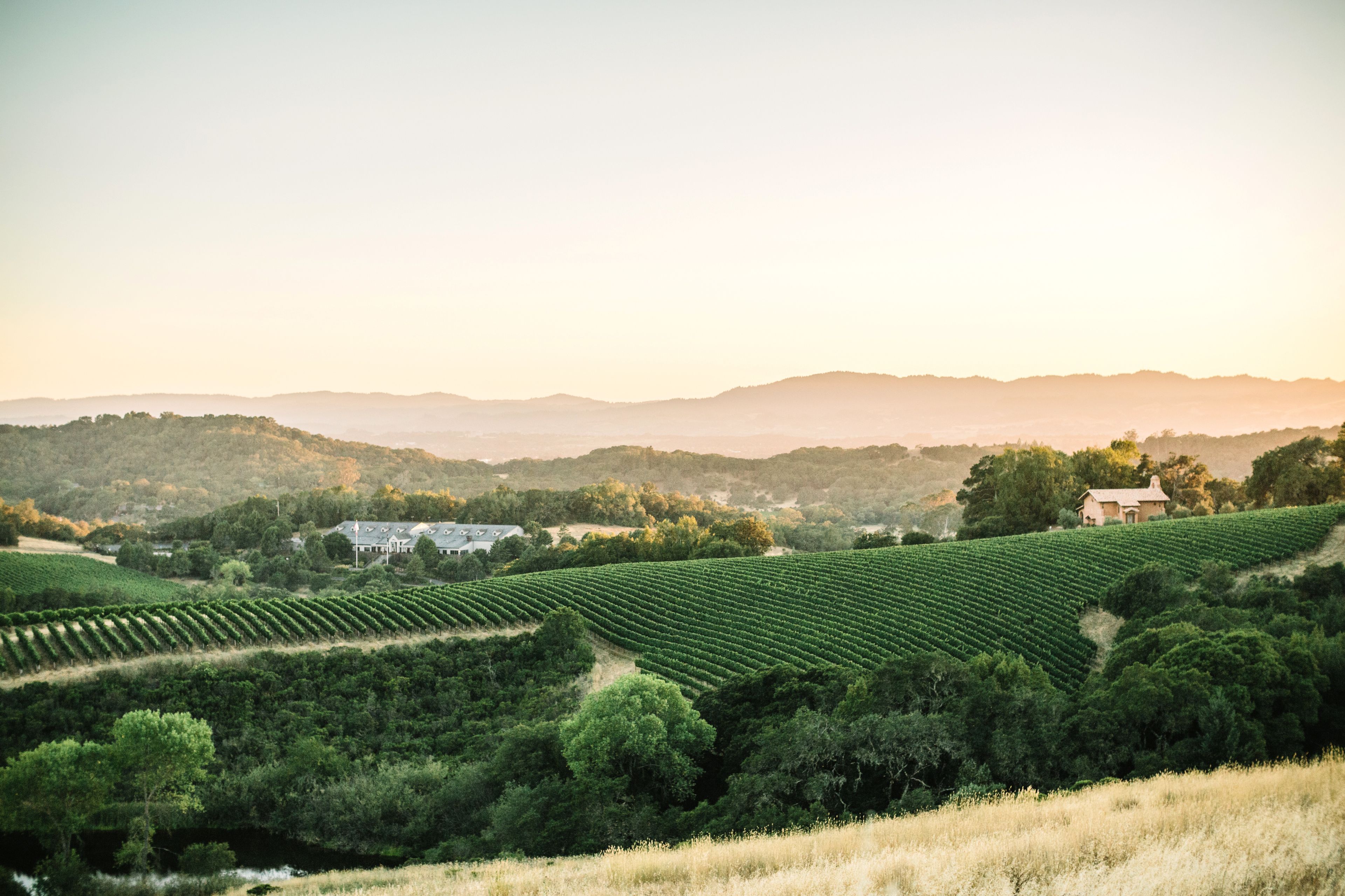 Cover photo of The Edges Wed