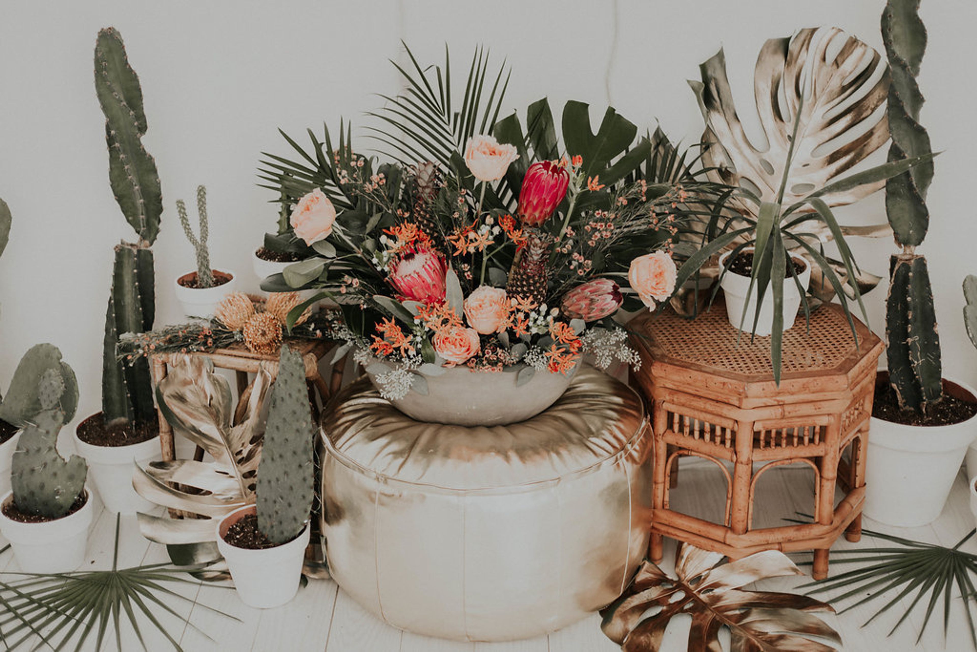 Cover photo of Sweetwater Botanicals