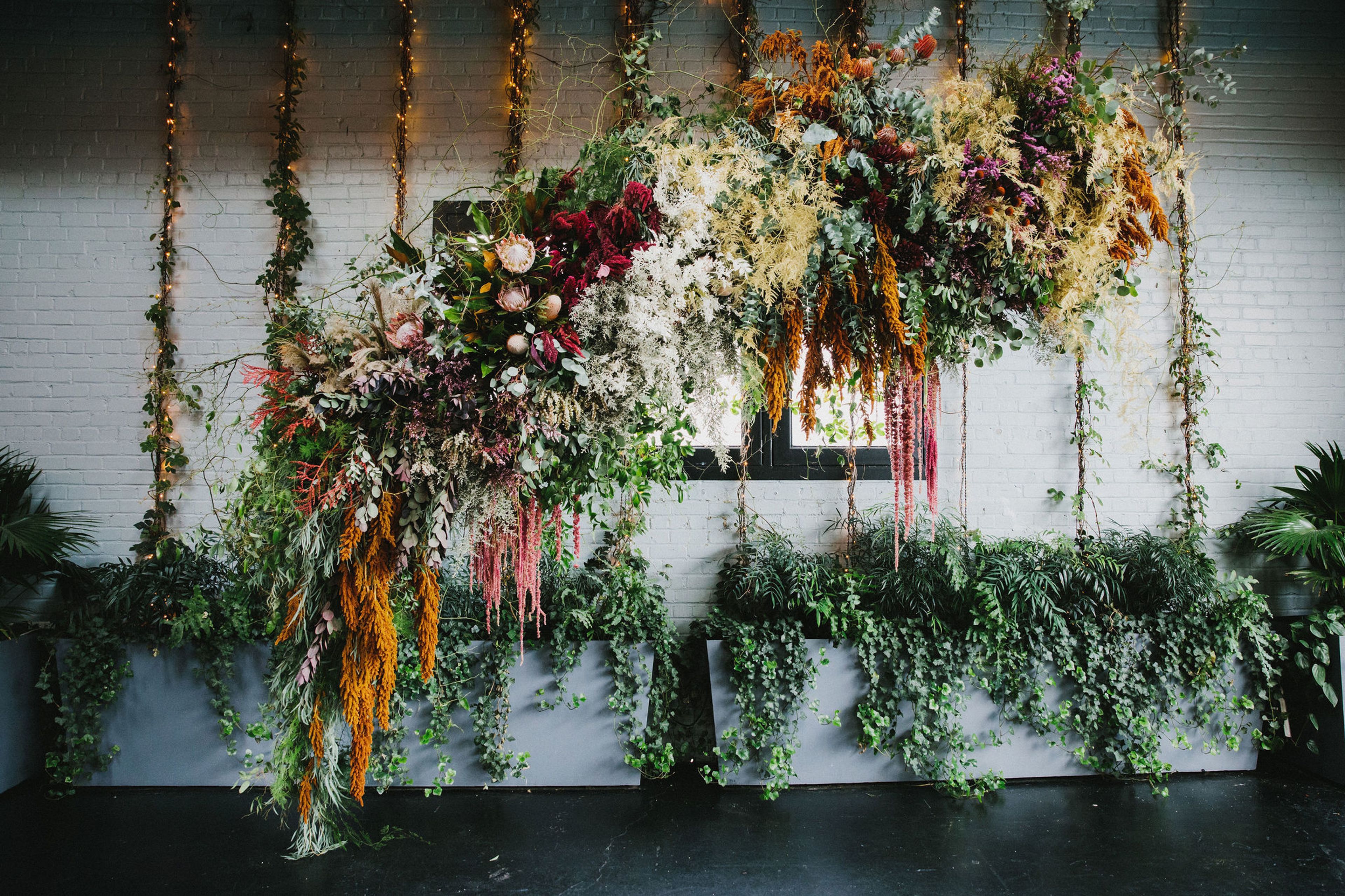 Cover photo of Mimosa Floral Design