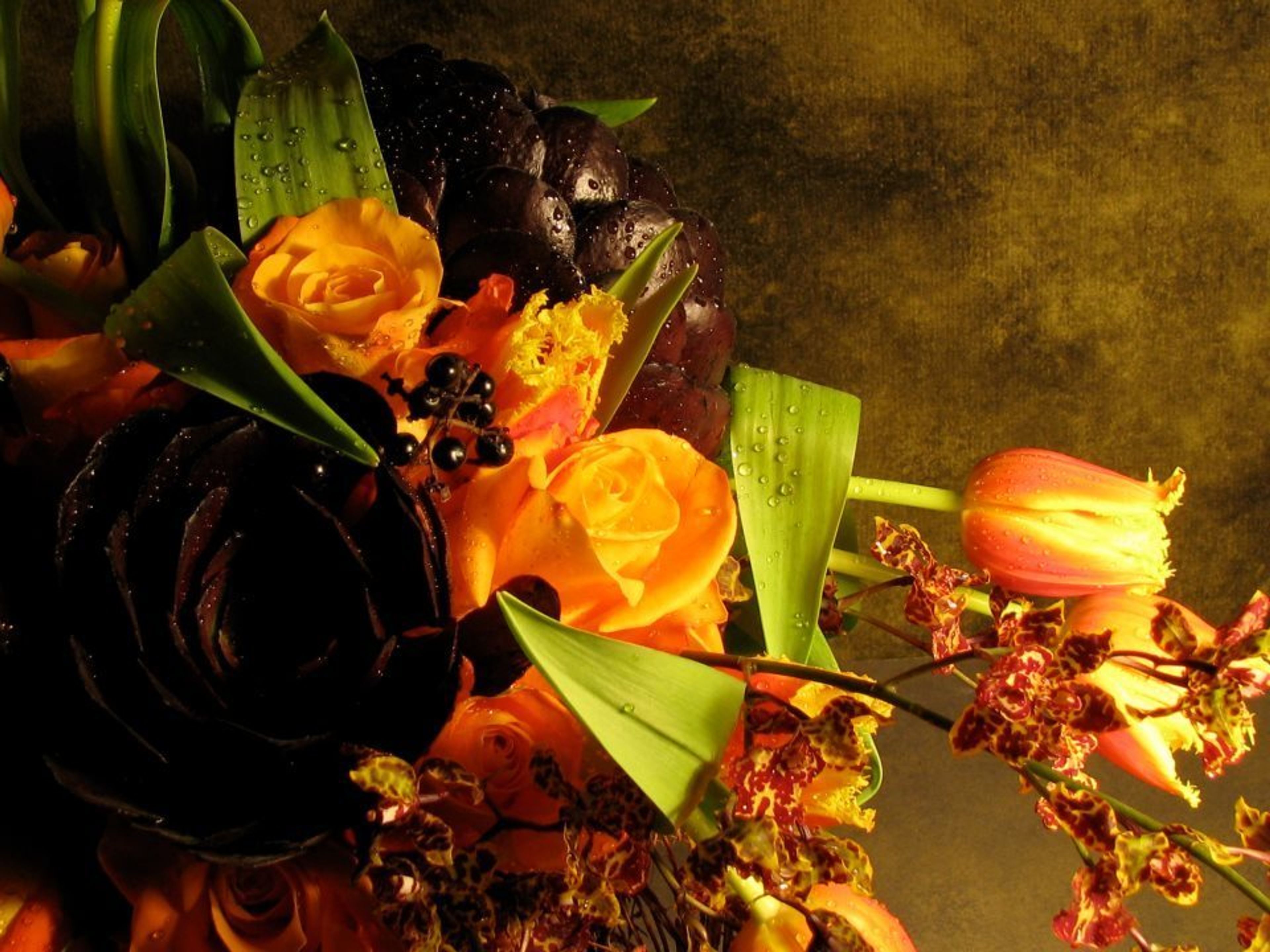 Cover photo of Florisity