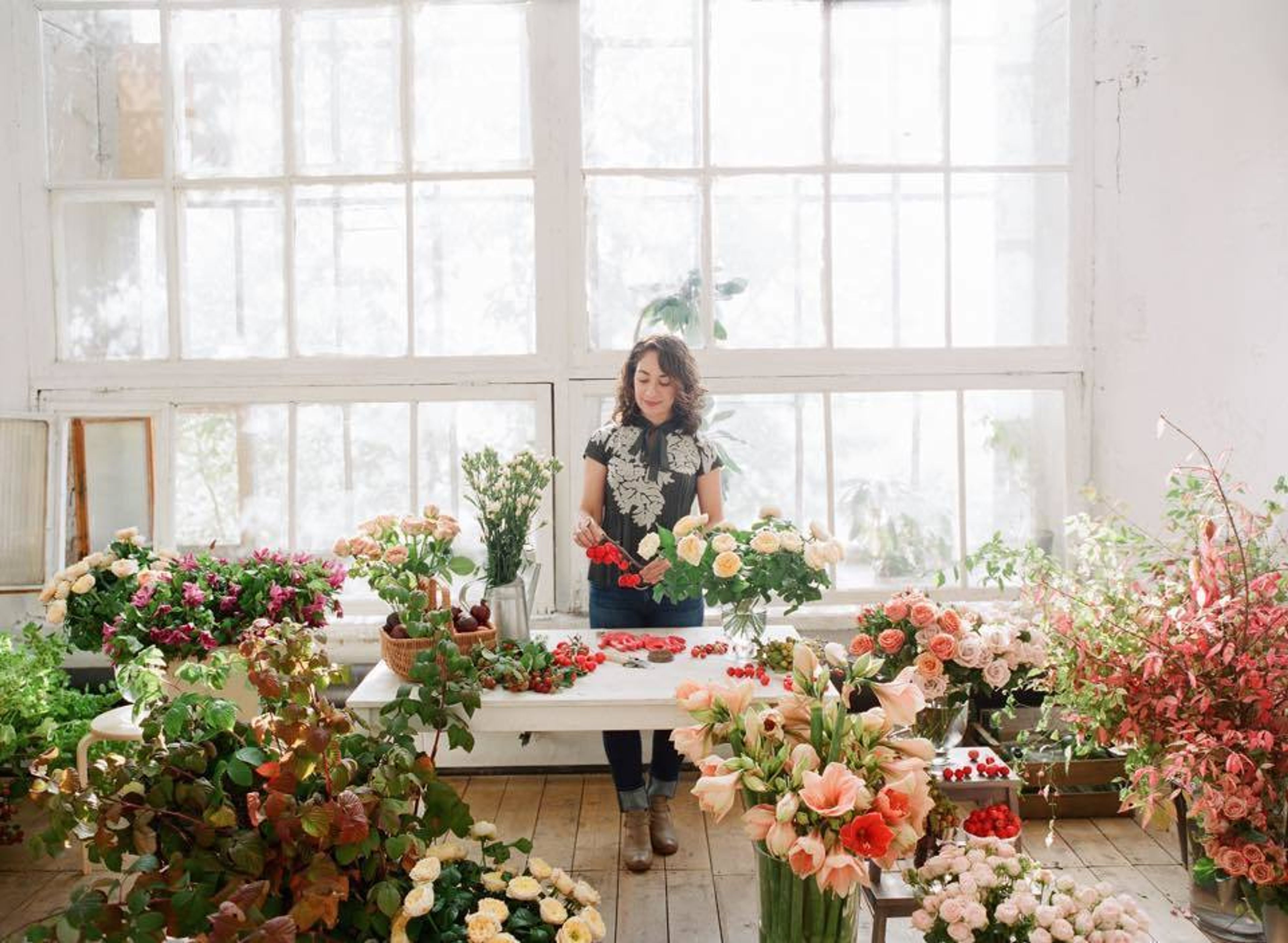 Cover photo of Tulipina