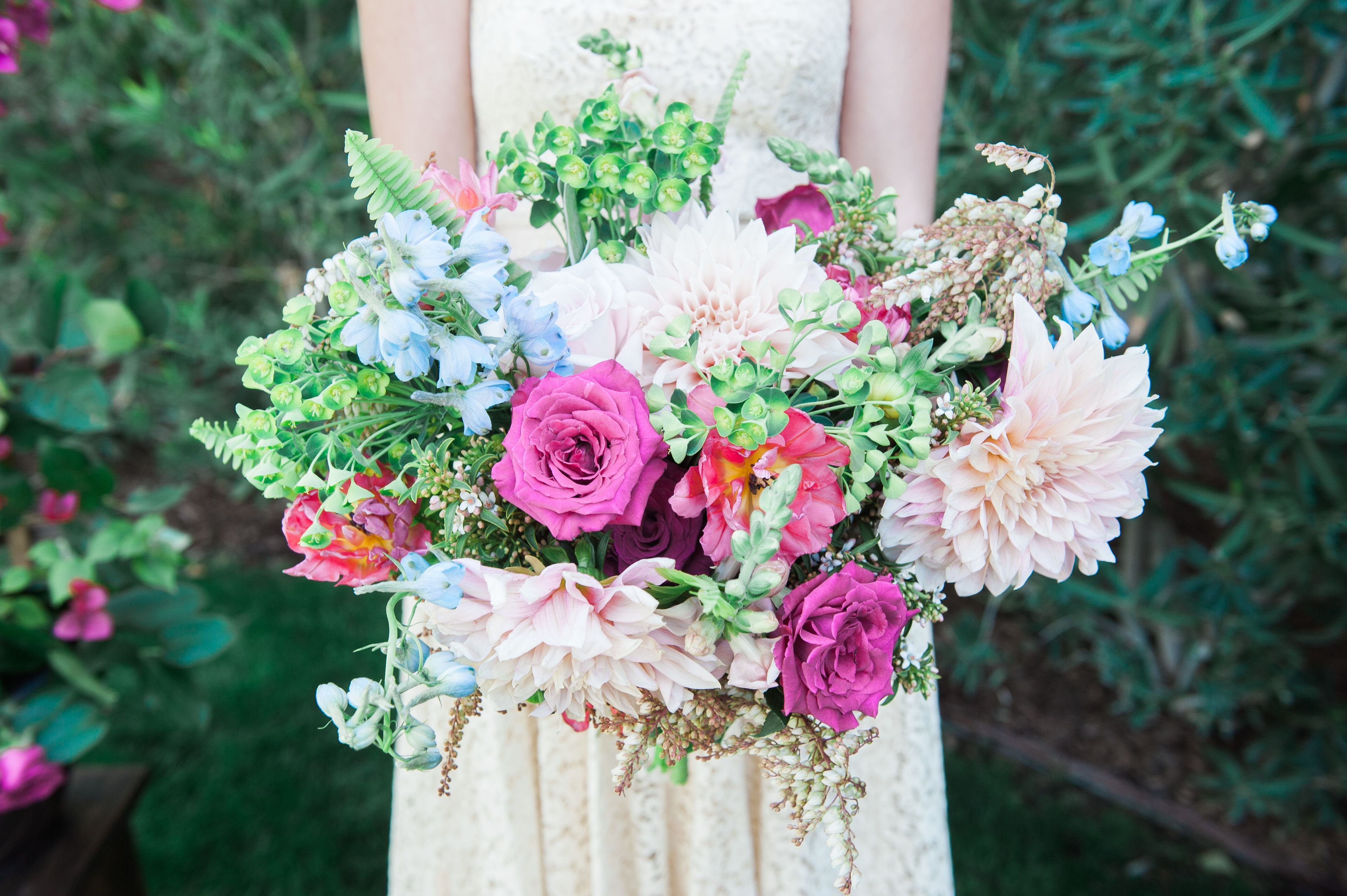 Cover photo of Meredith Harris Photographers