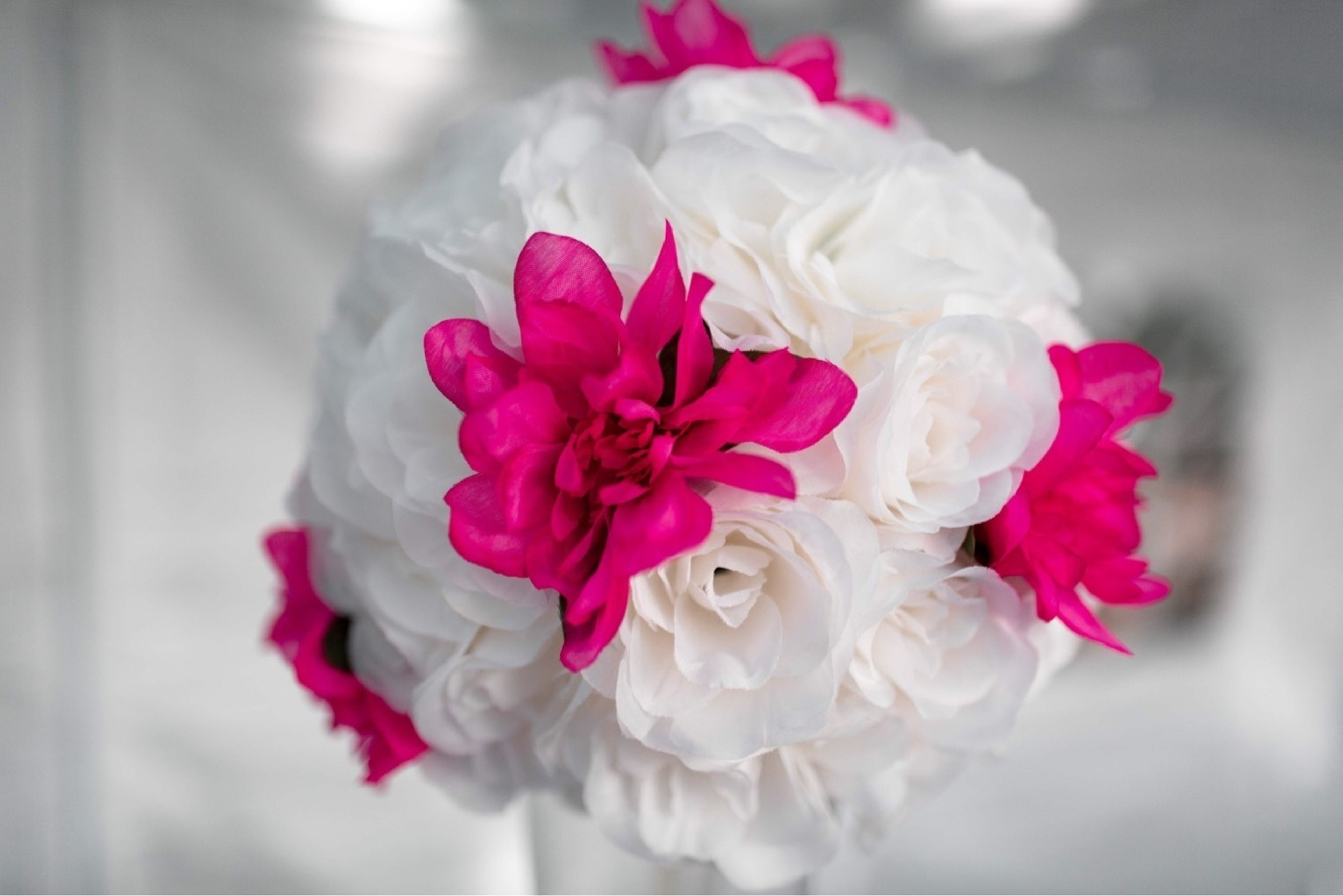 Cover photo of Kolter Gunn