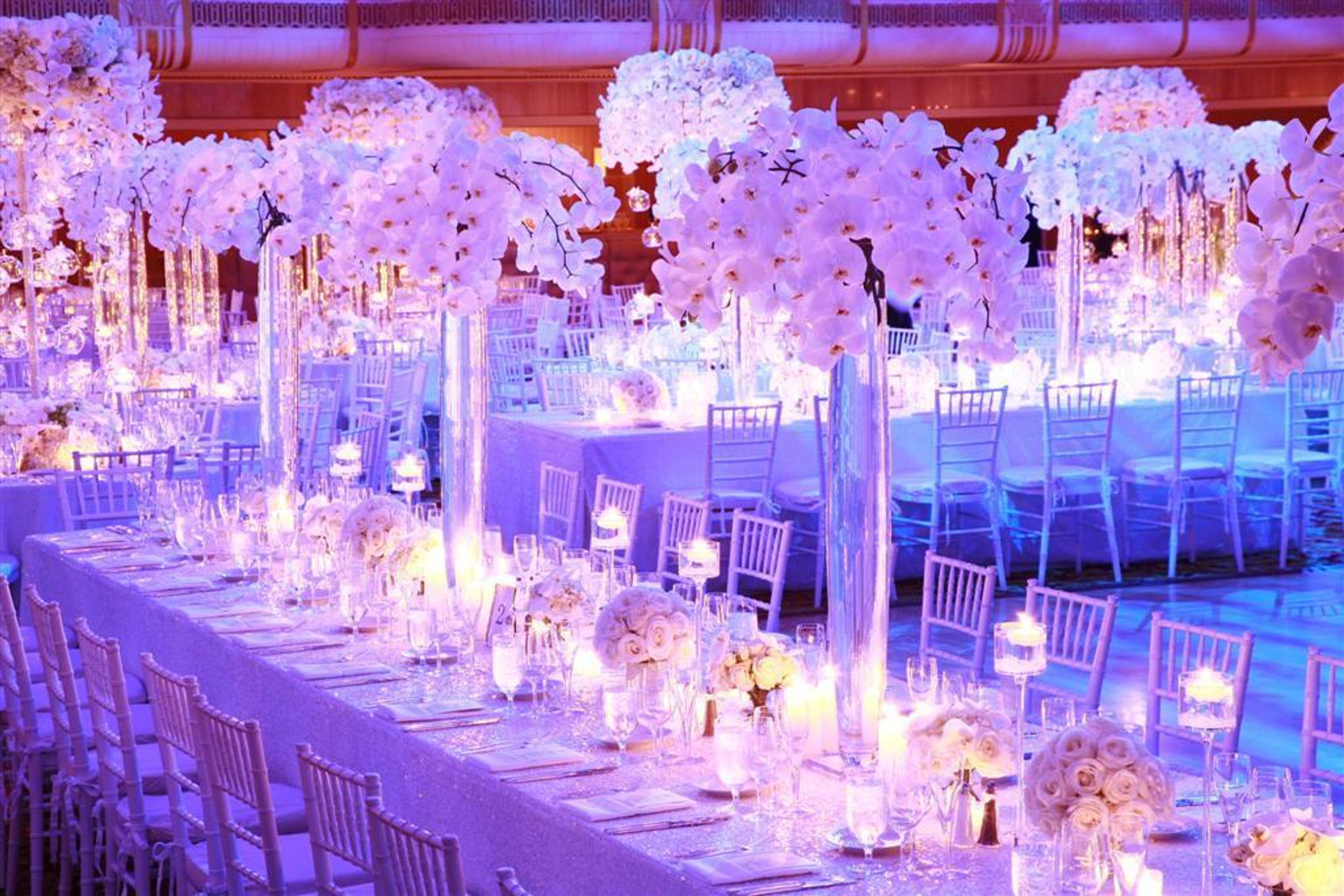 Cover photo of Blue Daisy Floral & Design