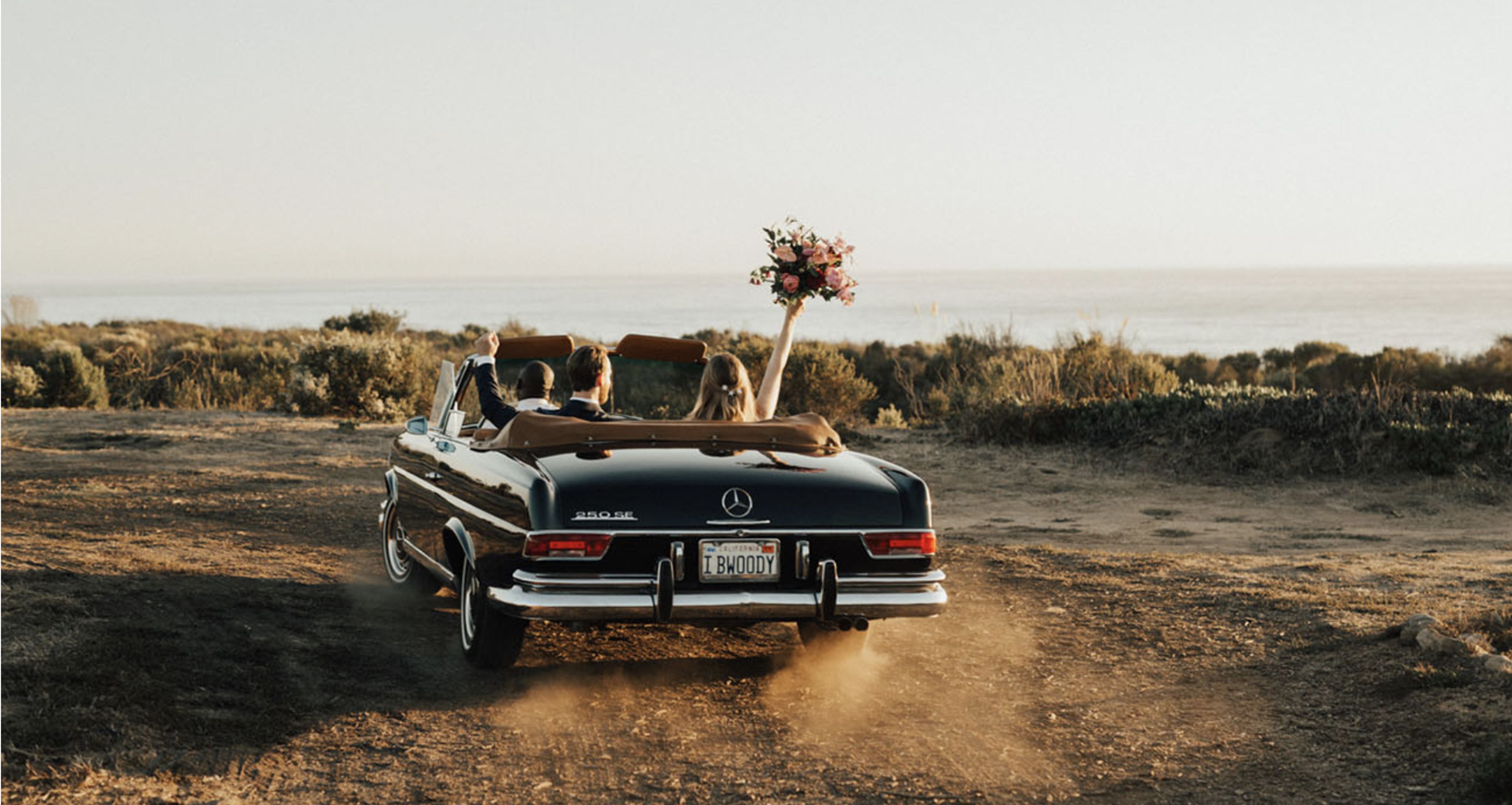 Cover photo of Dos Pueblos Orchid Farm