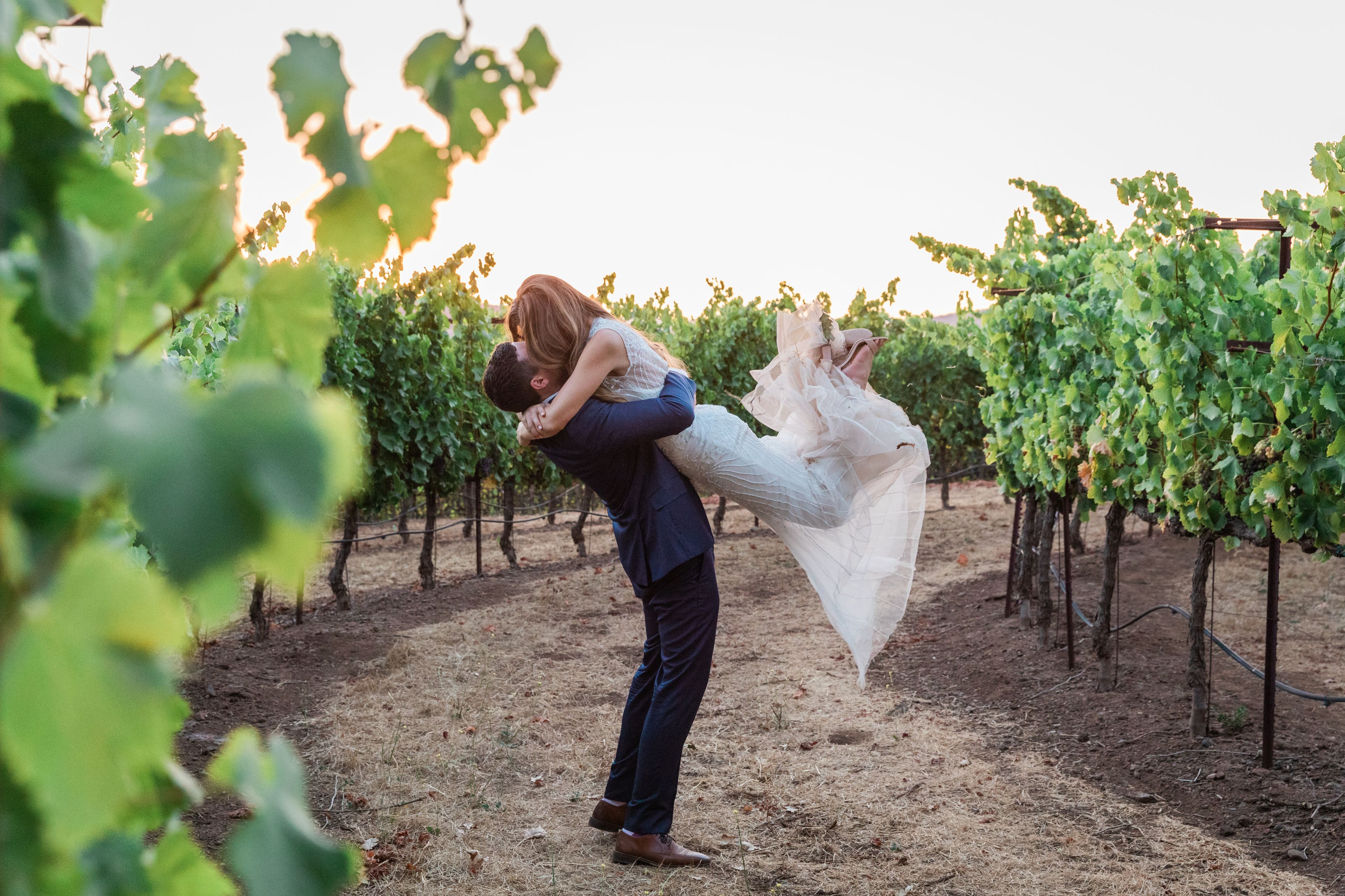 Cover photo of Kunde Family Winery