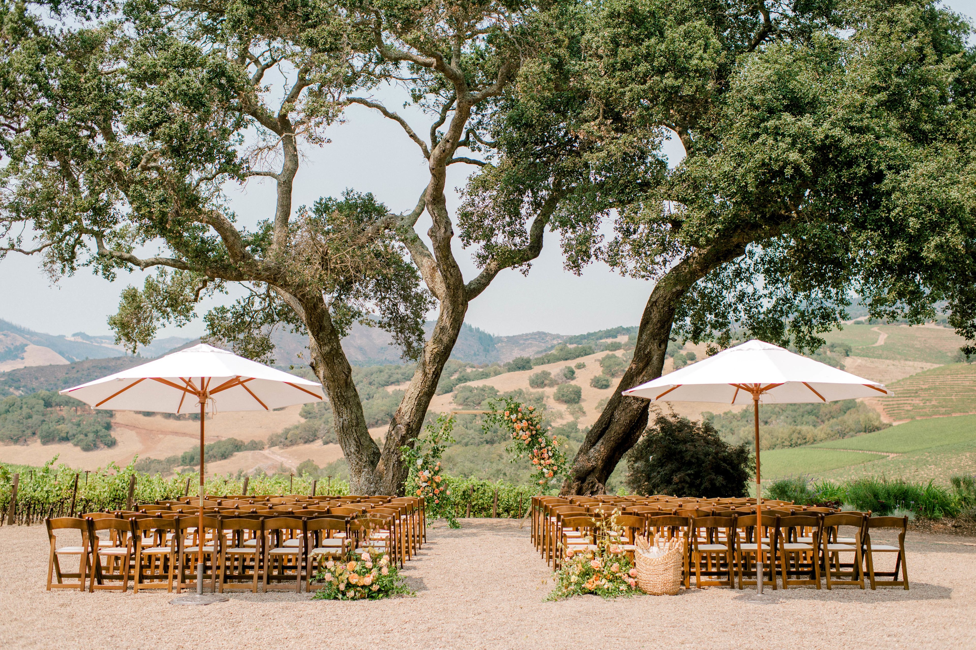 Cover photo of Kunde Family Winery