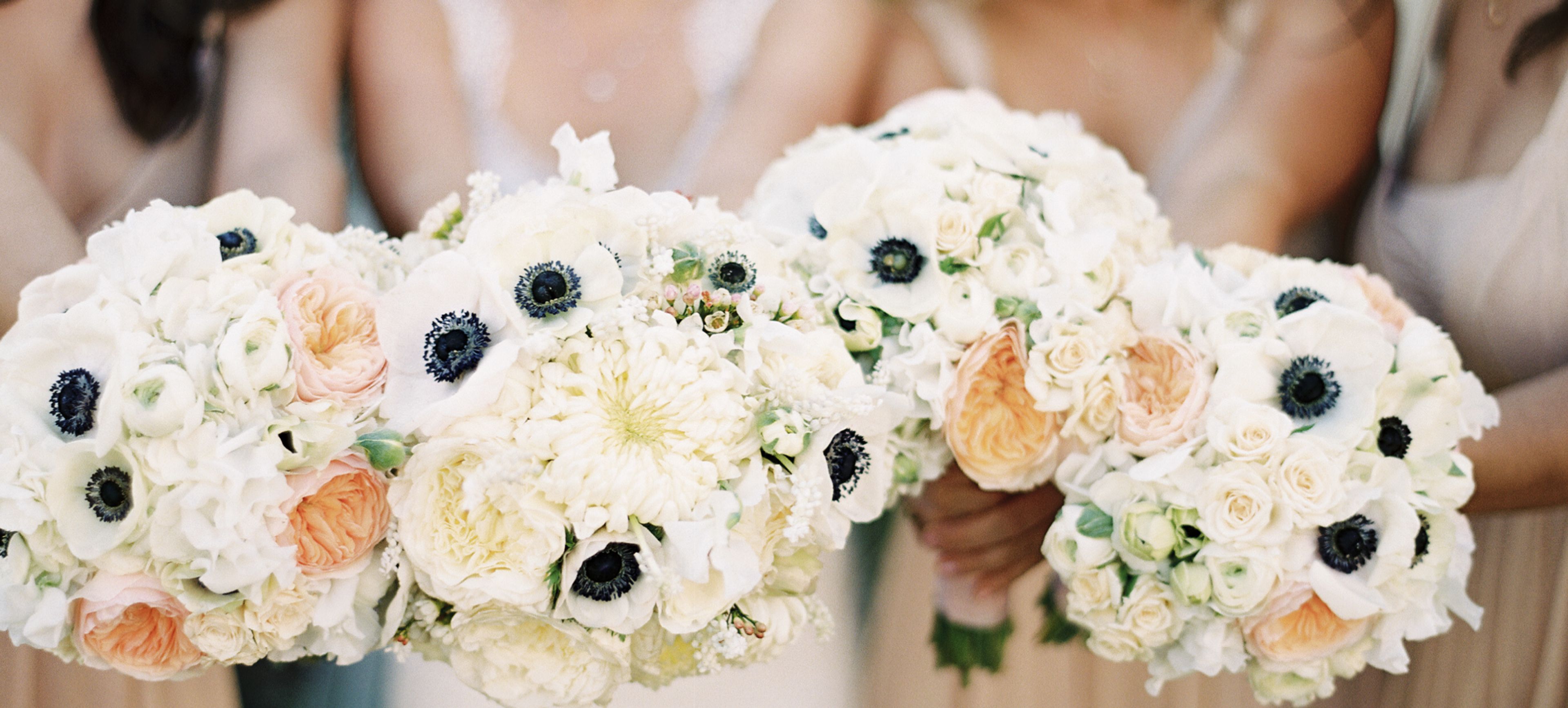 Cover photo of Wine Country Flowers