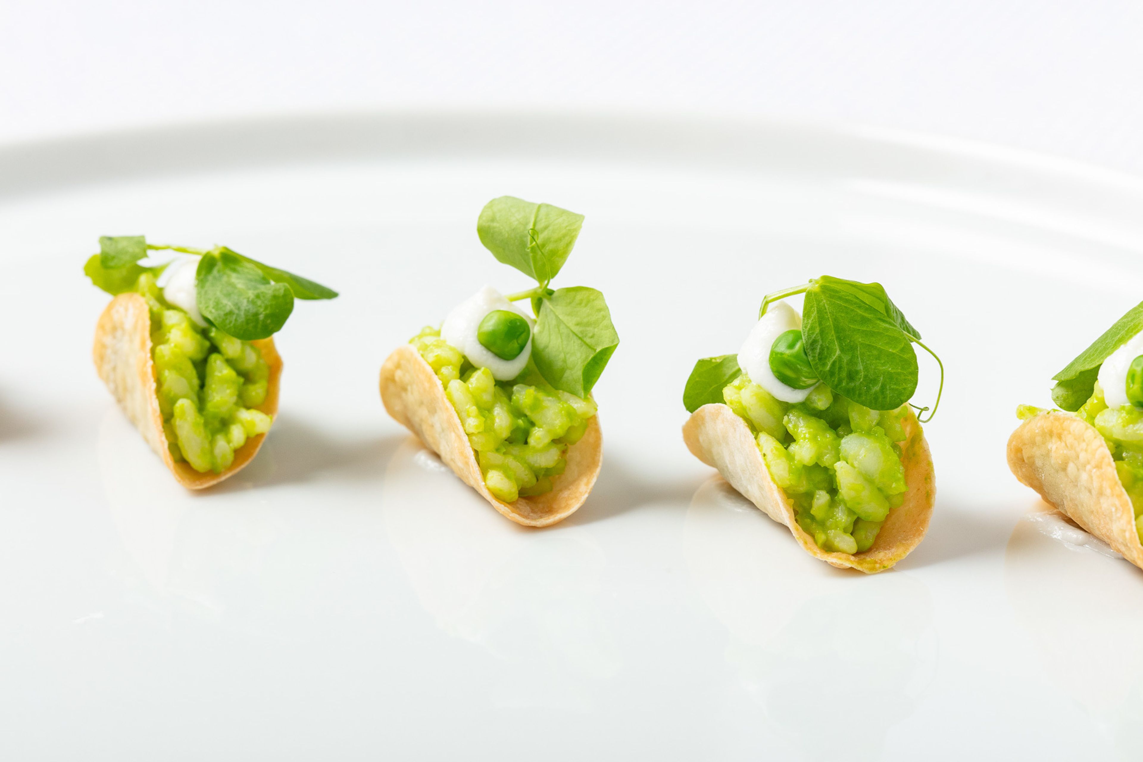 Cover photo of Acquolina Catering & Event Management