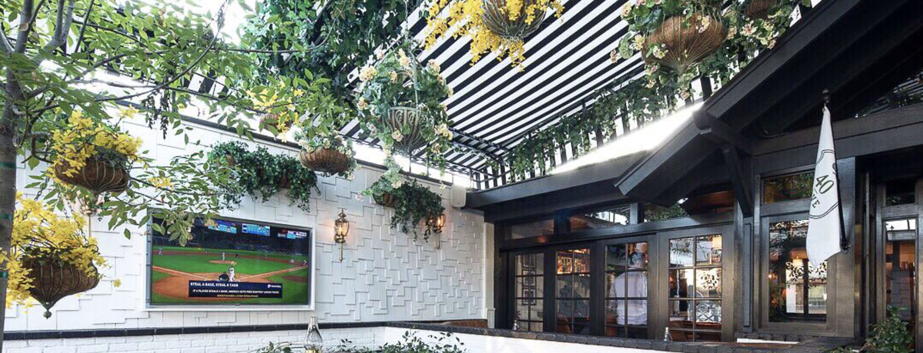 Cover photo of 40 Love