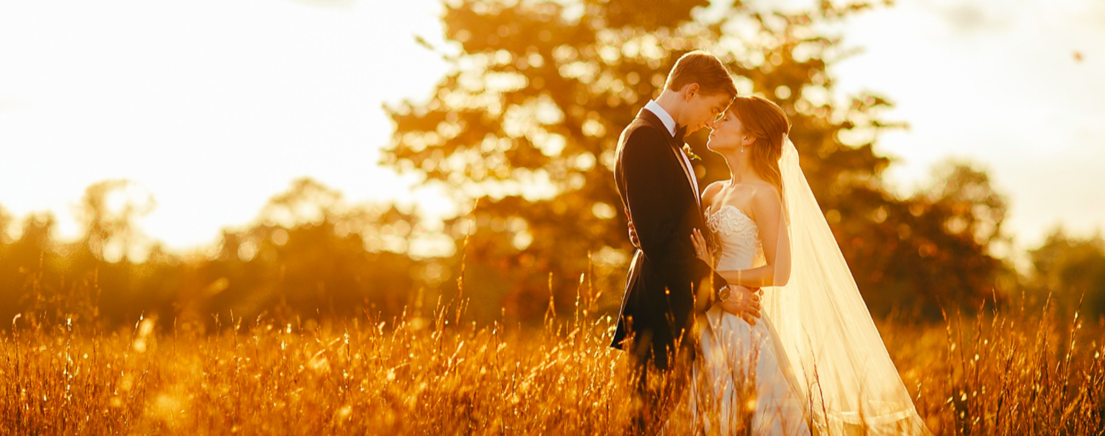 Cover photo of Sean Gallery Photography