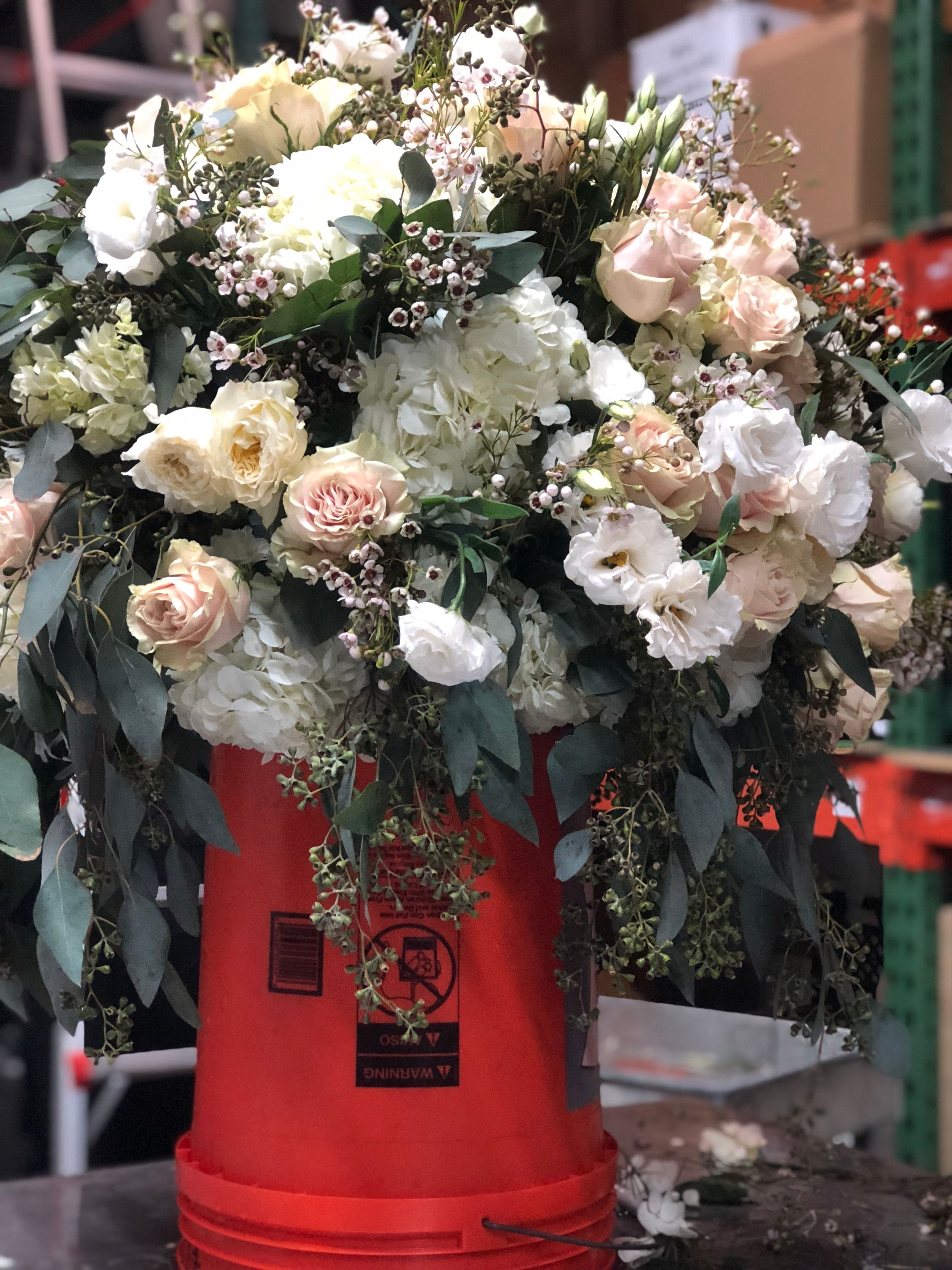 Cover photo of Dream Factory