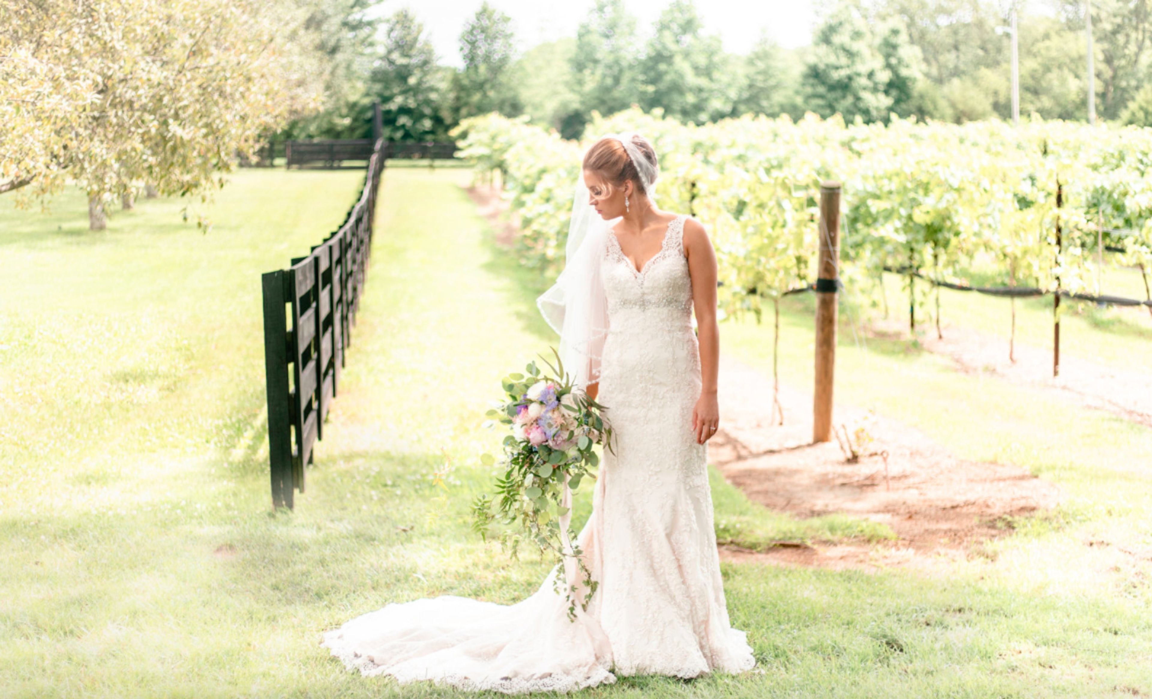 Cover photo of Stephanie B Photography