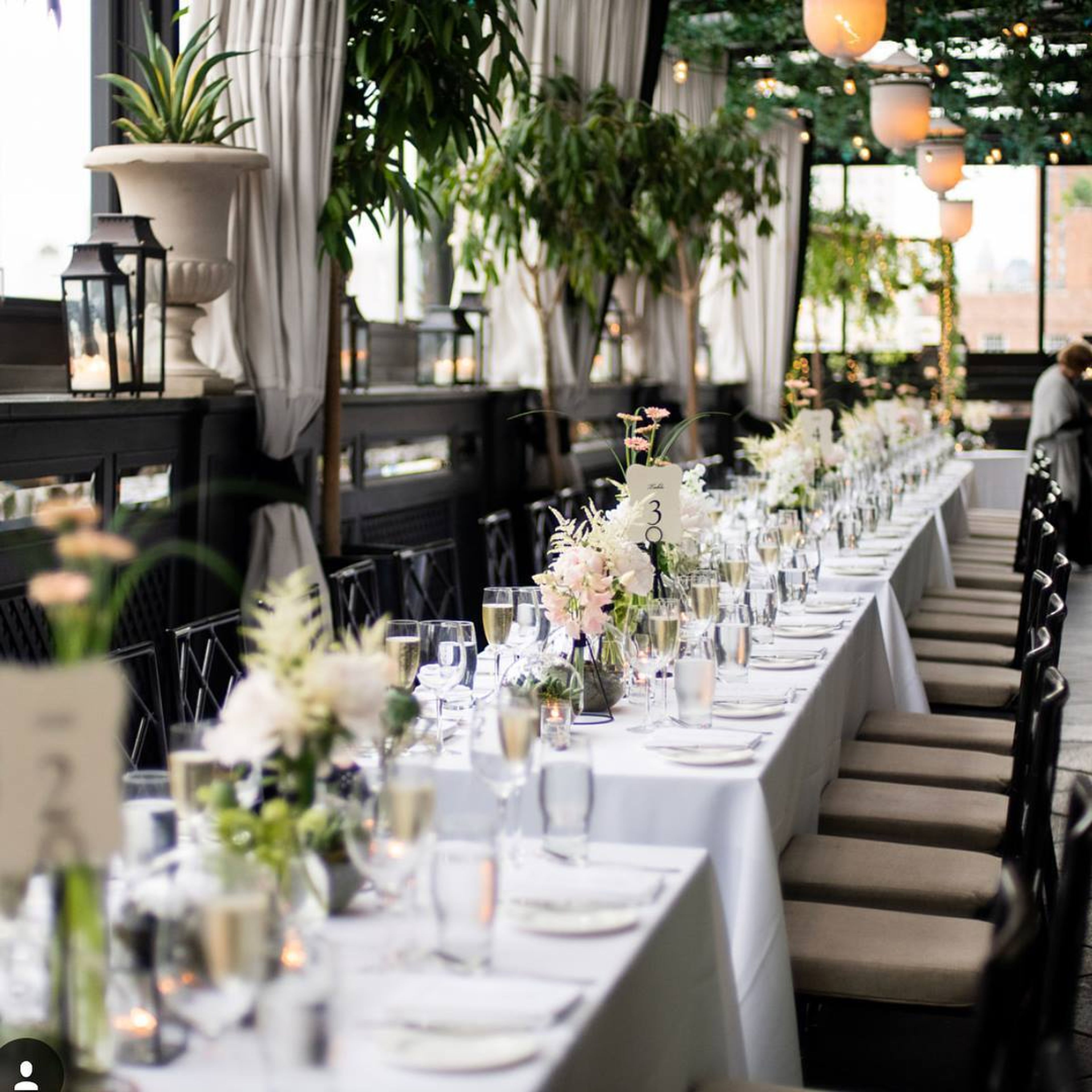 Cover photo of Simply Divine