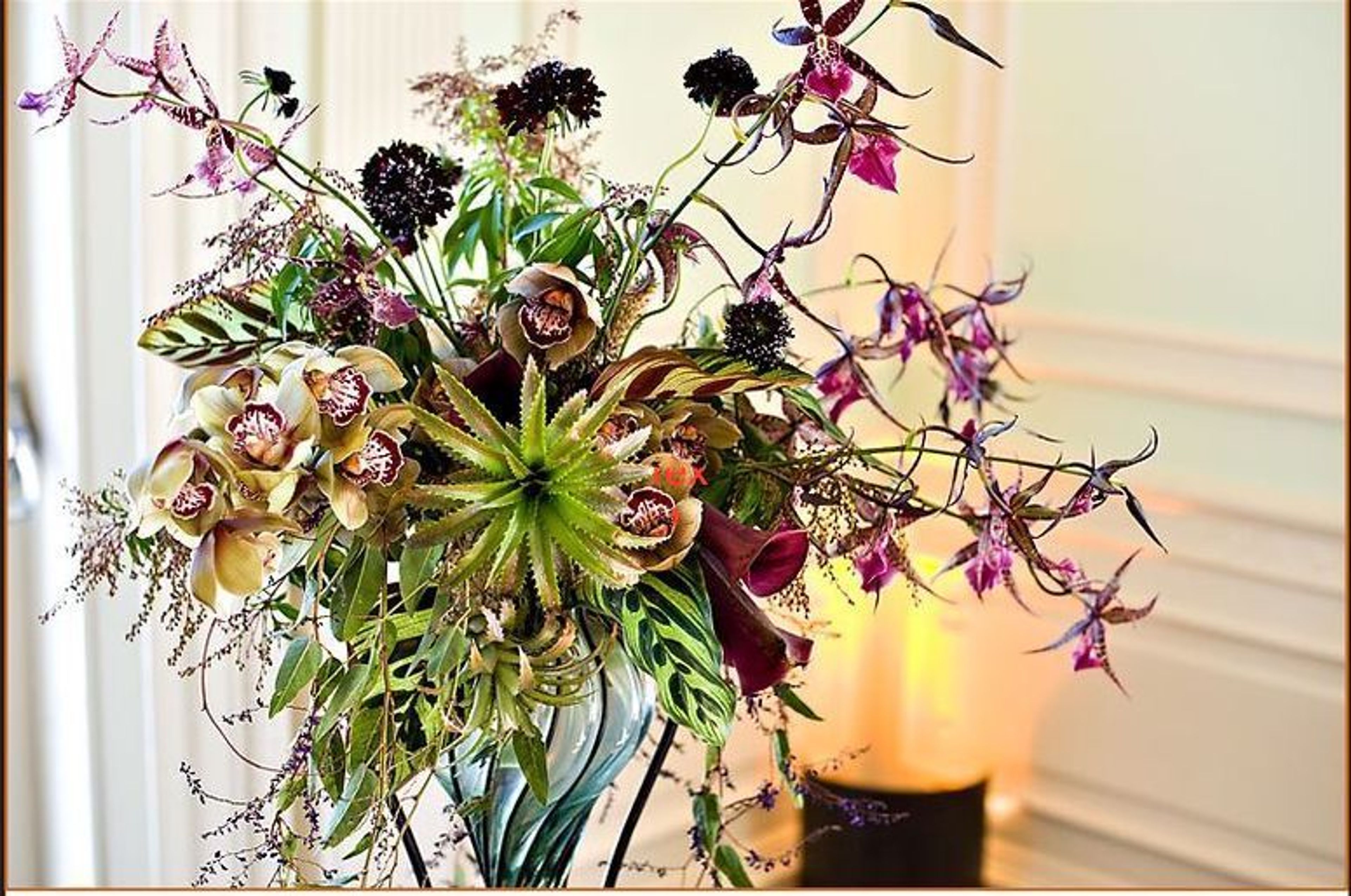 Cover photo of Plan Decor