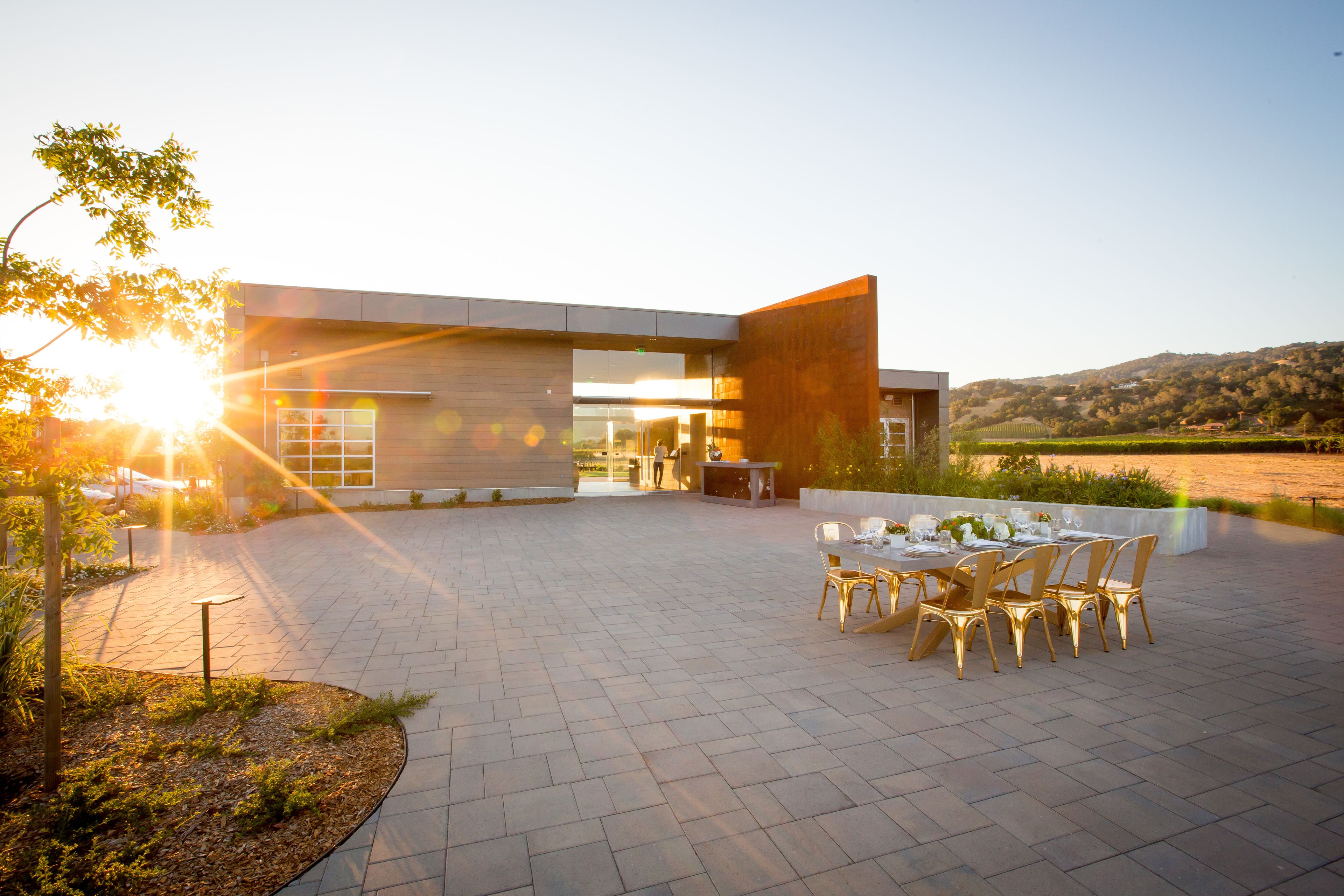 Cover photo of Zialena