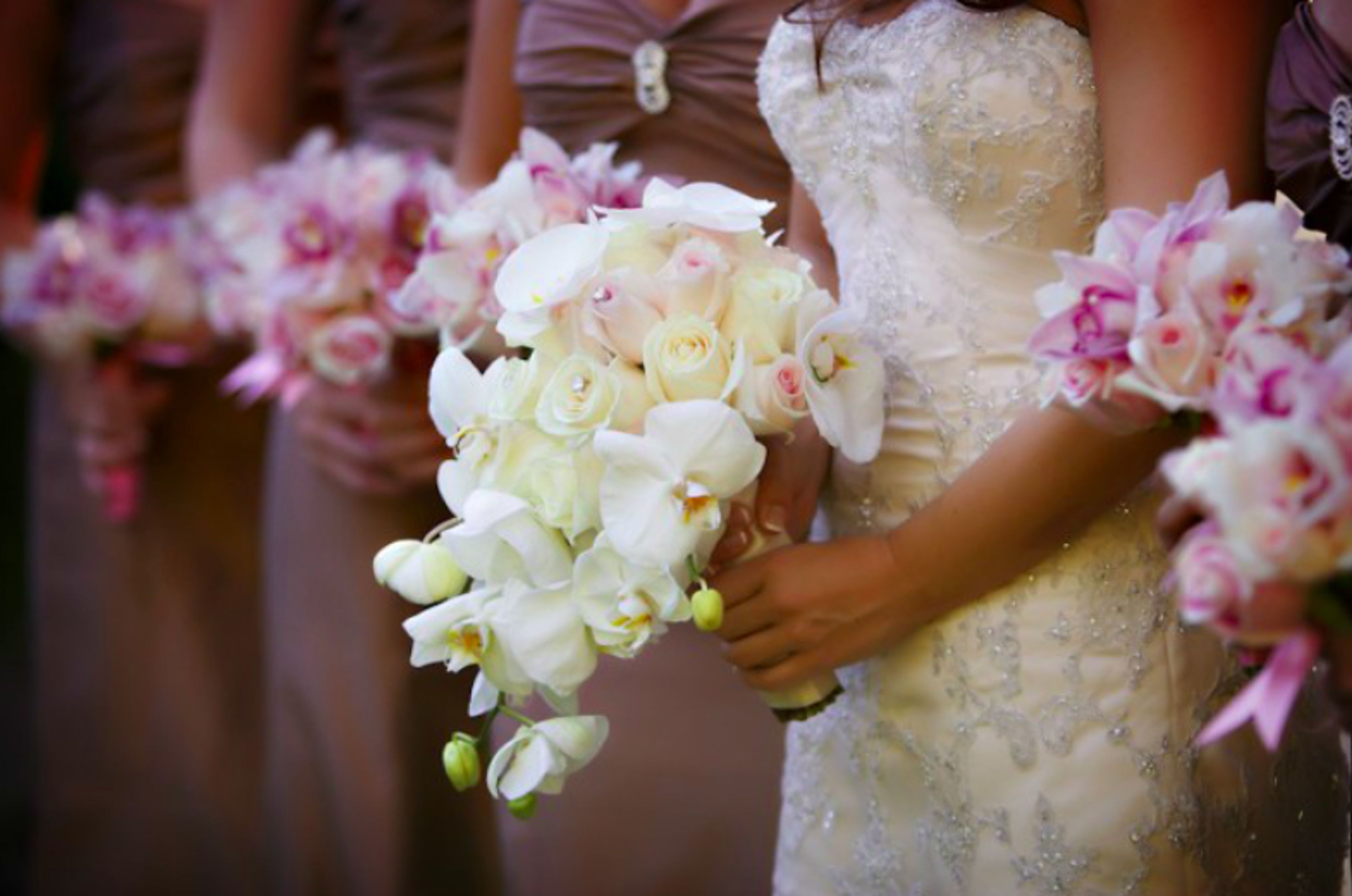 Cover photo of Ambiance Designs