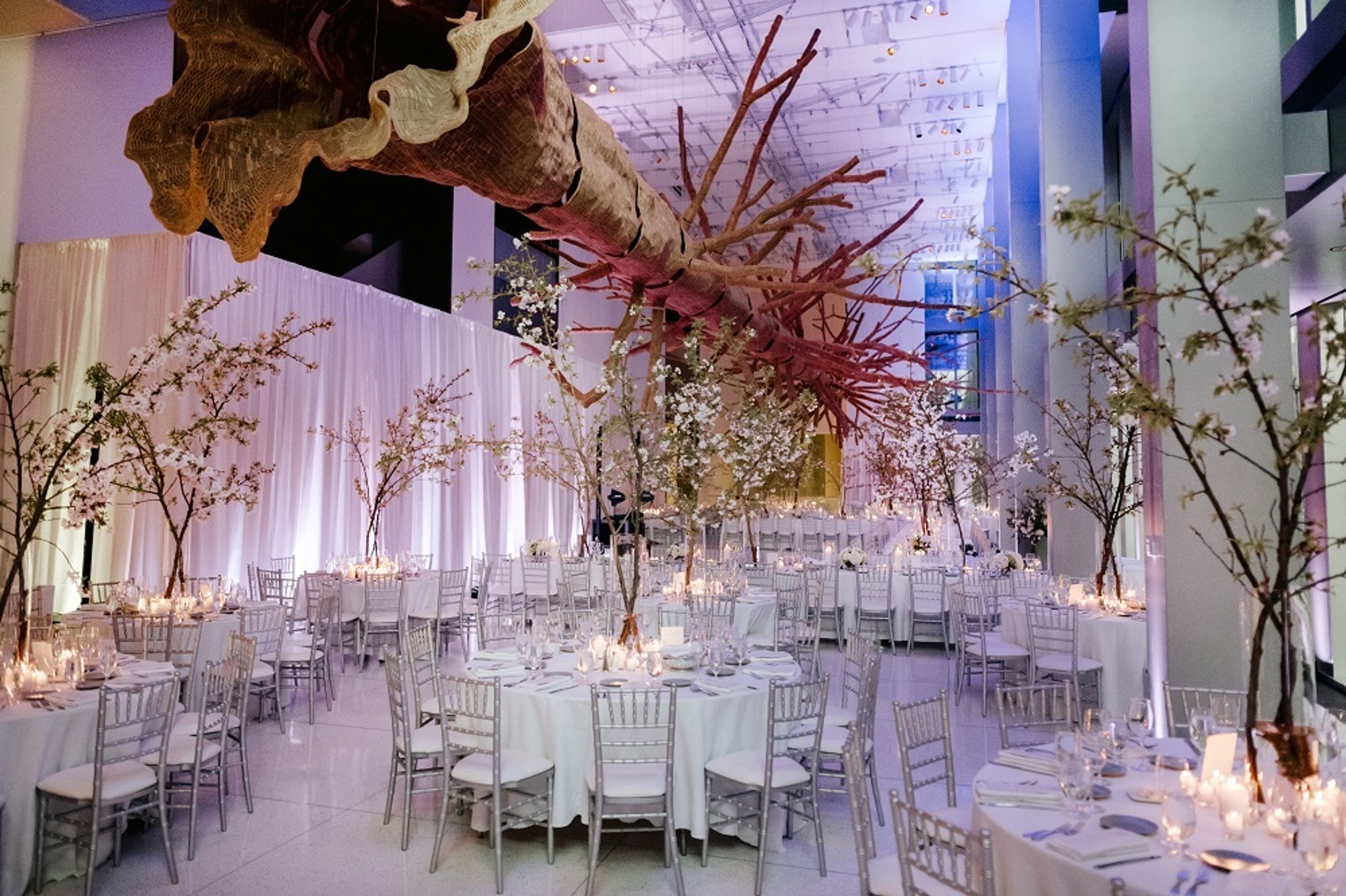 Cover photo of Seattle Art Museum