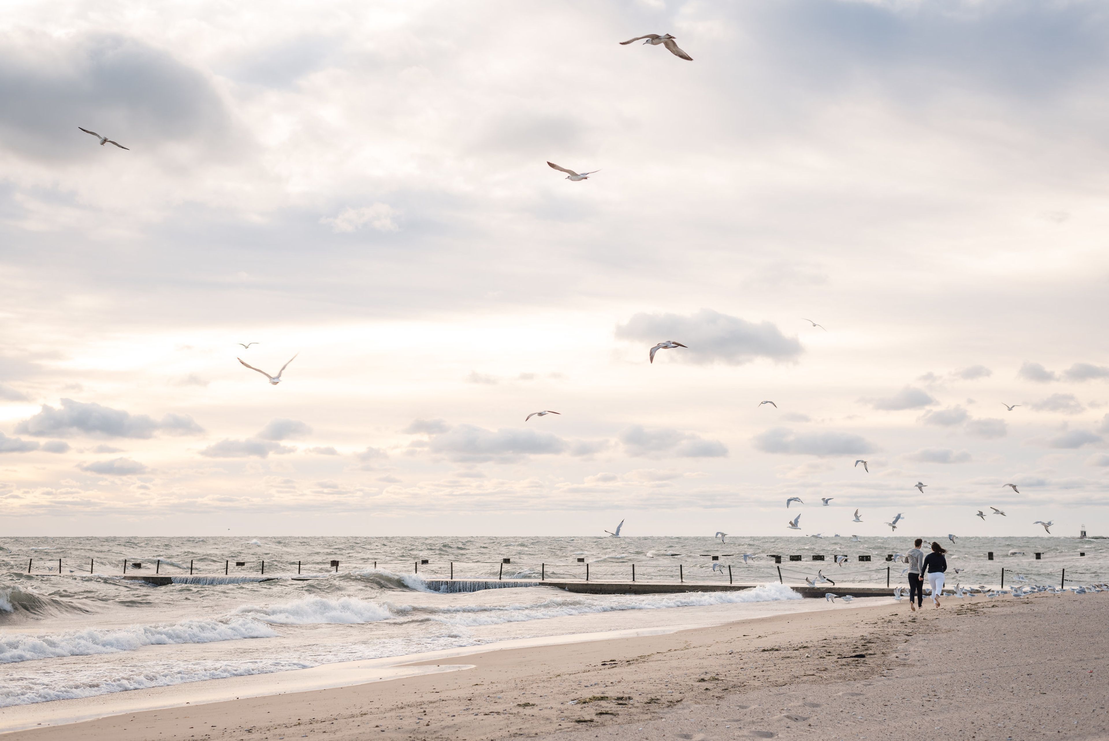 Cover photo of White Quill Creative