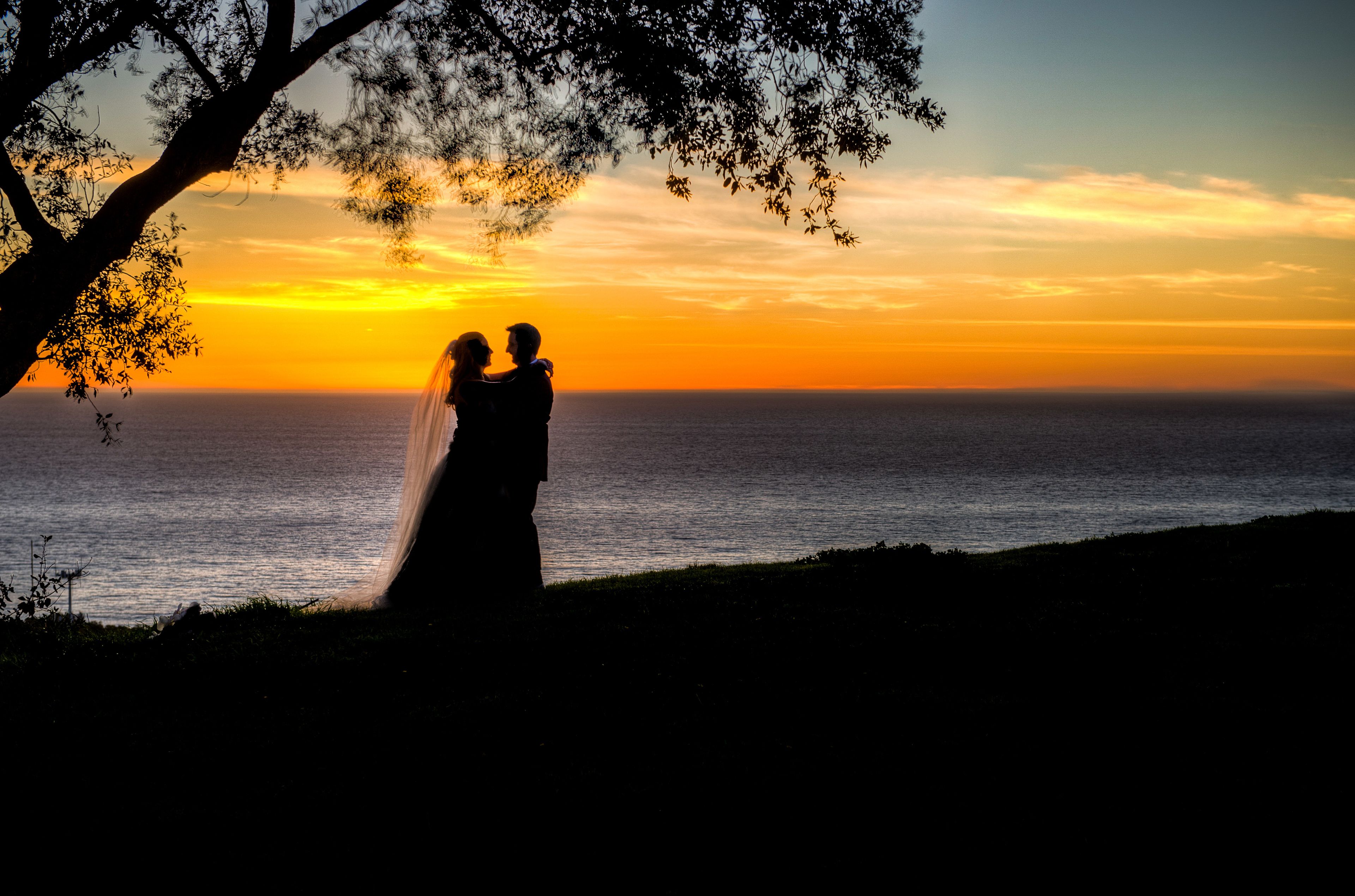 Cover photo of Paul Stoloff Photography