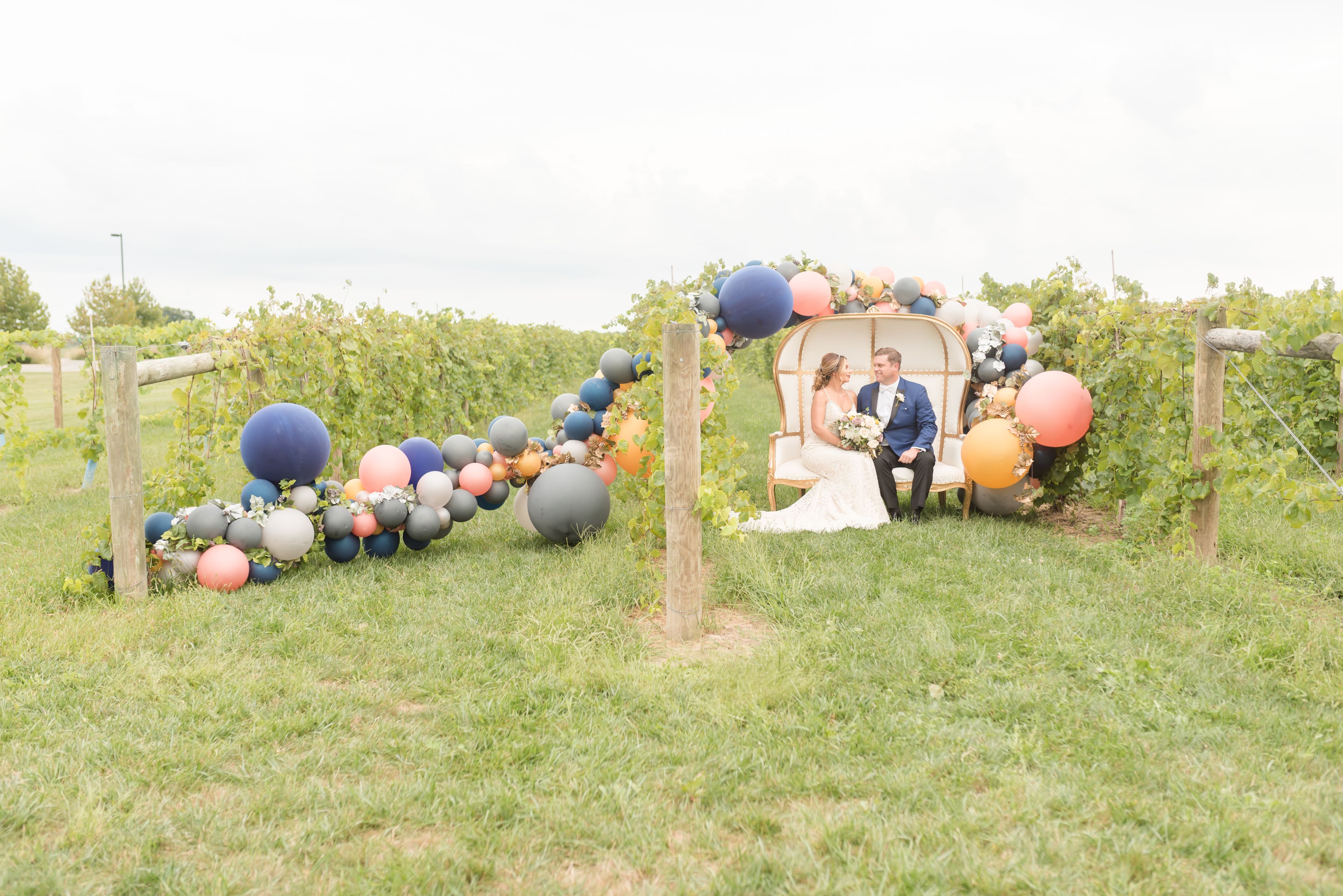 Cover photo of Blue Llama Events