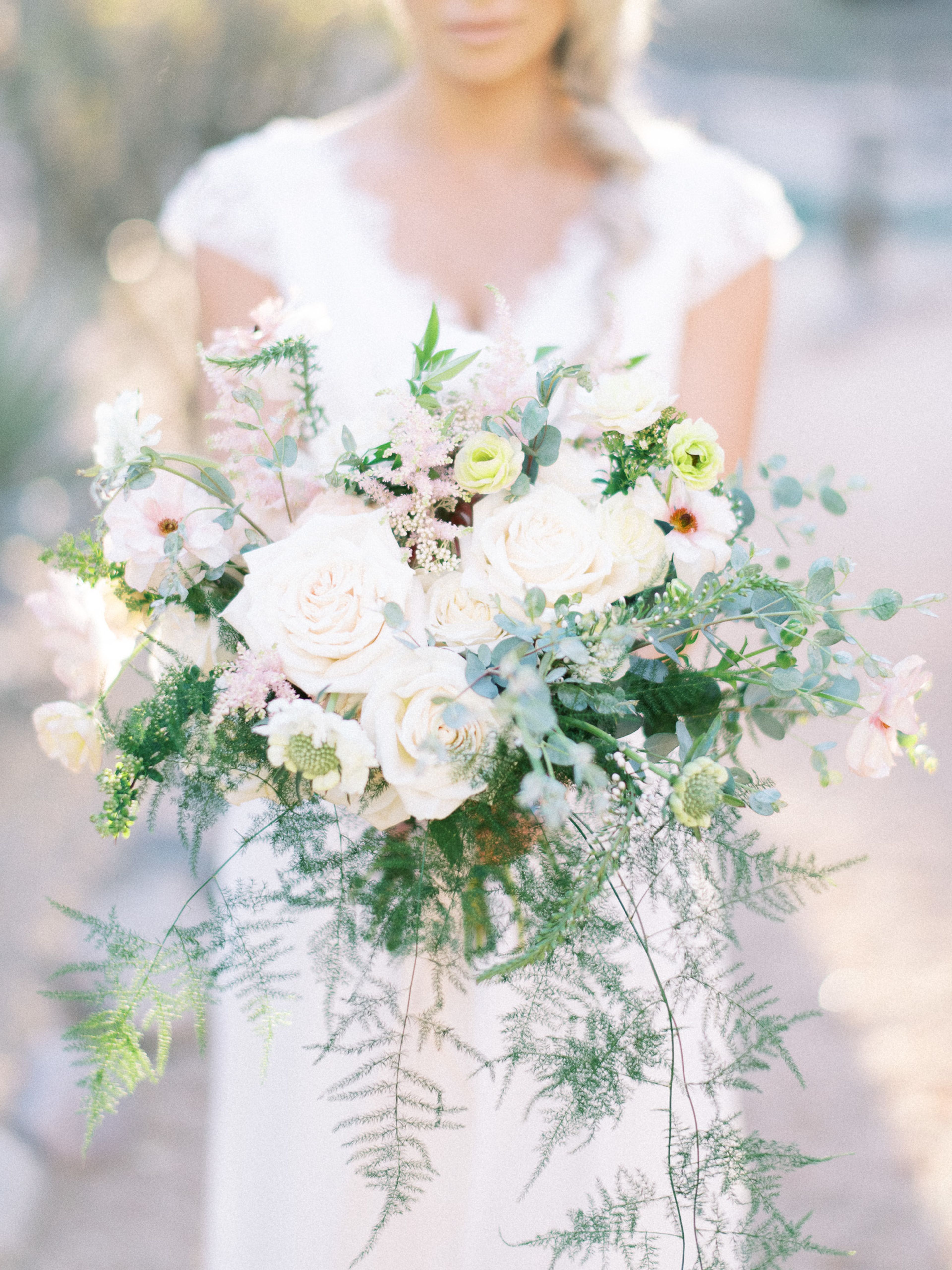 Cover photo of J. Briggs Photography