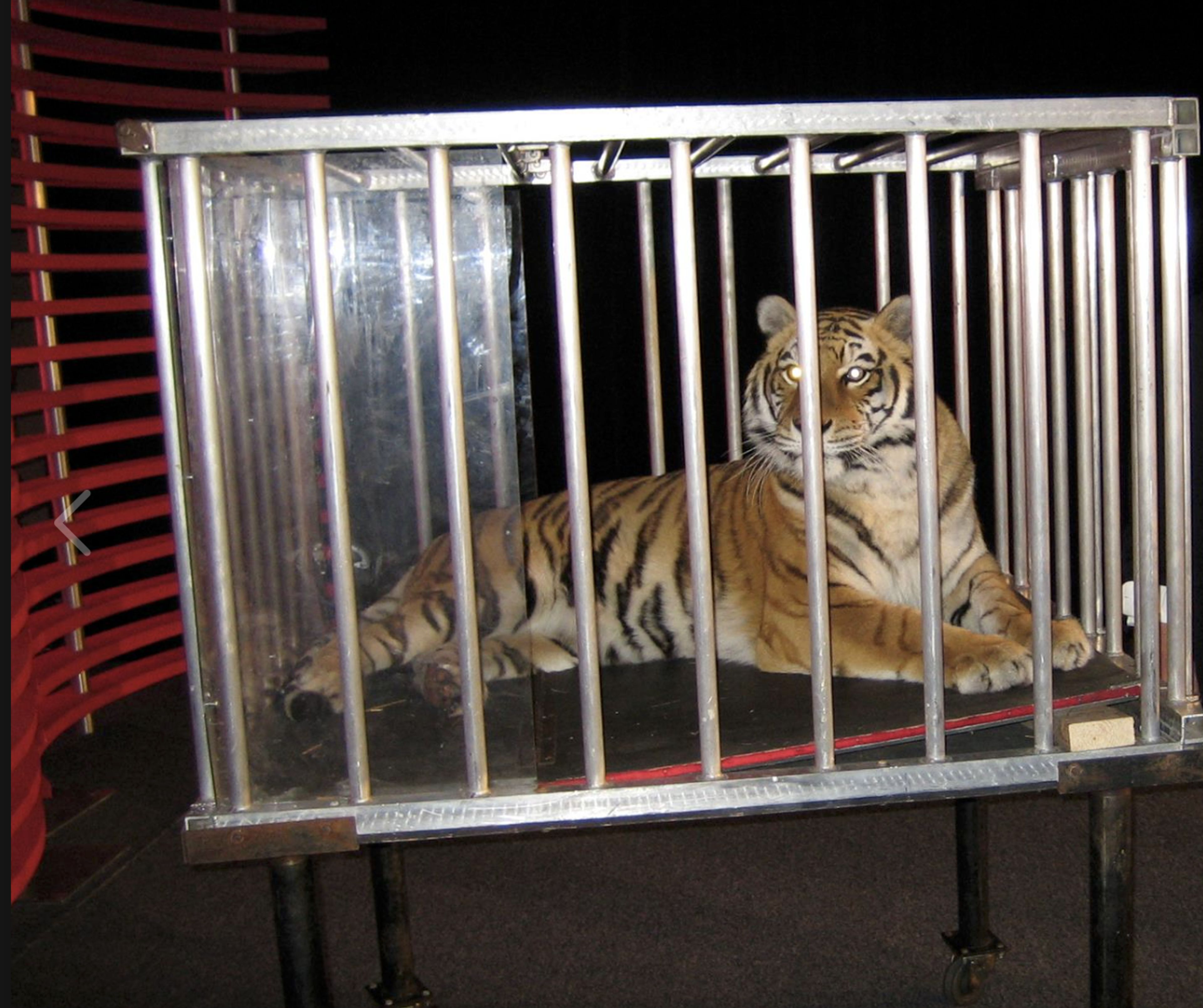 Cover photo of The Higa Group