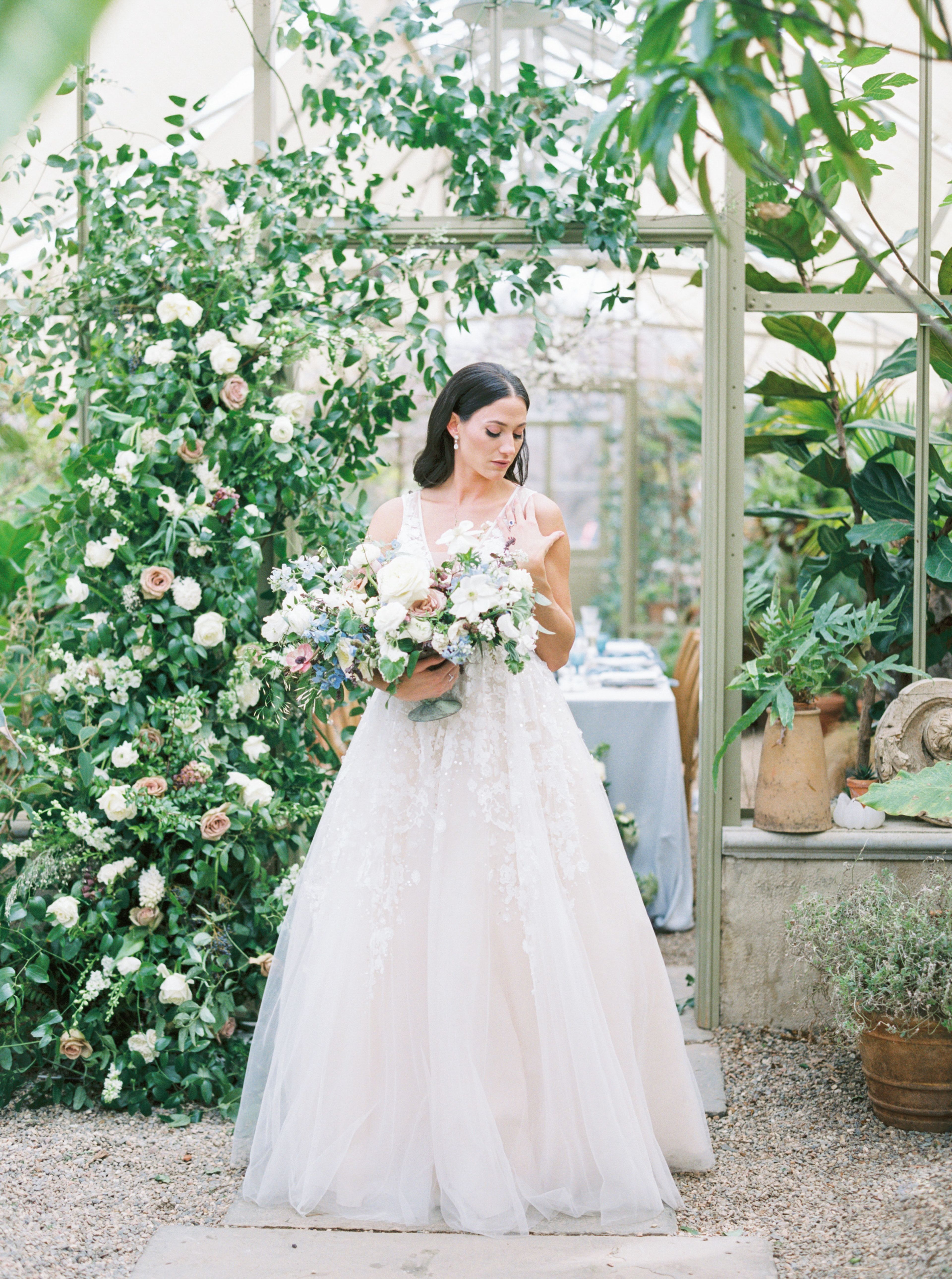 Cover photo of Blue Jasmine Floral