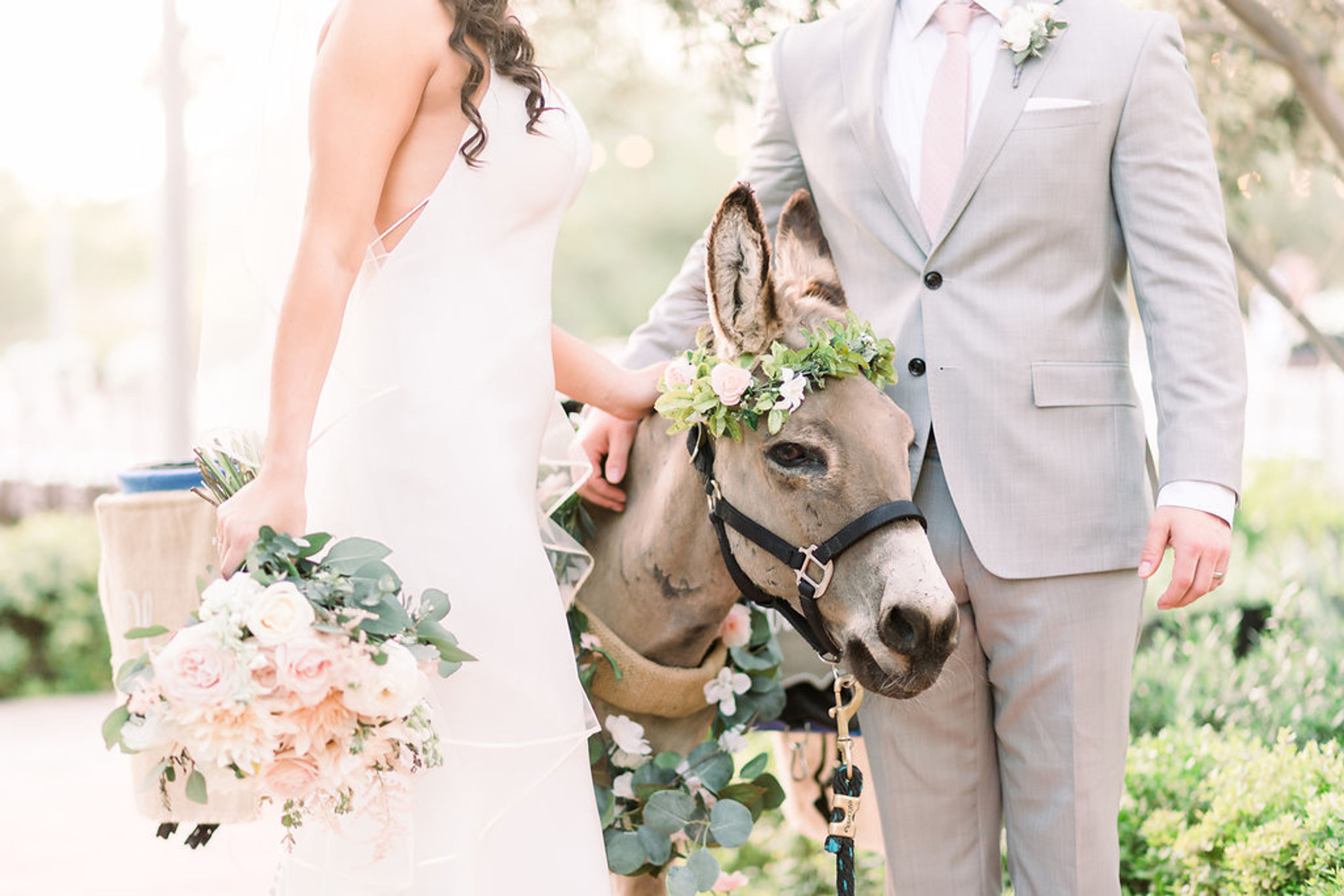 Cover photo of Haul N Ass Productions