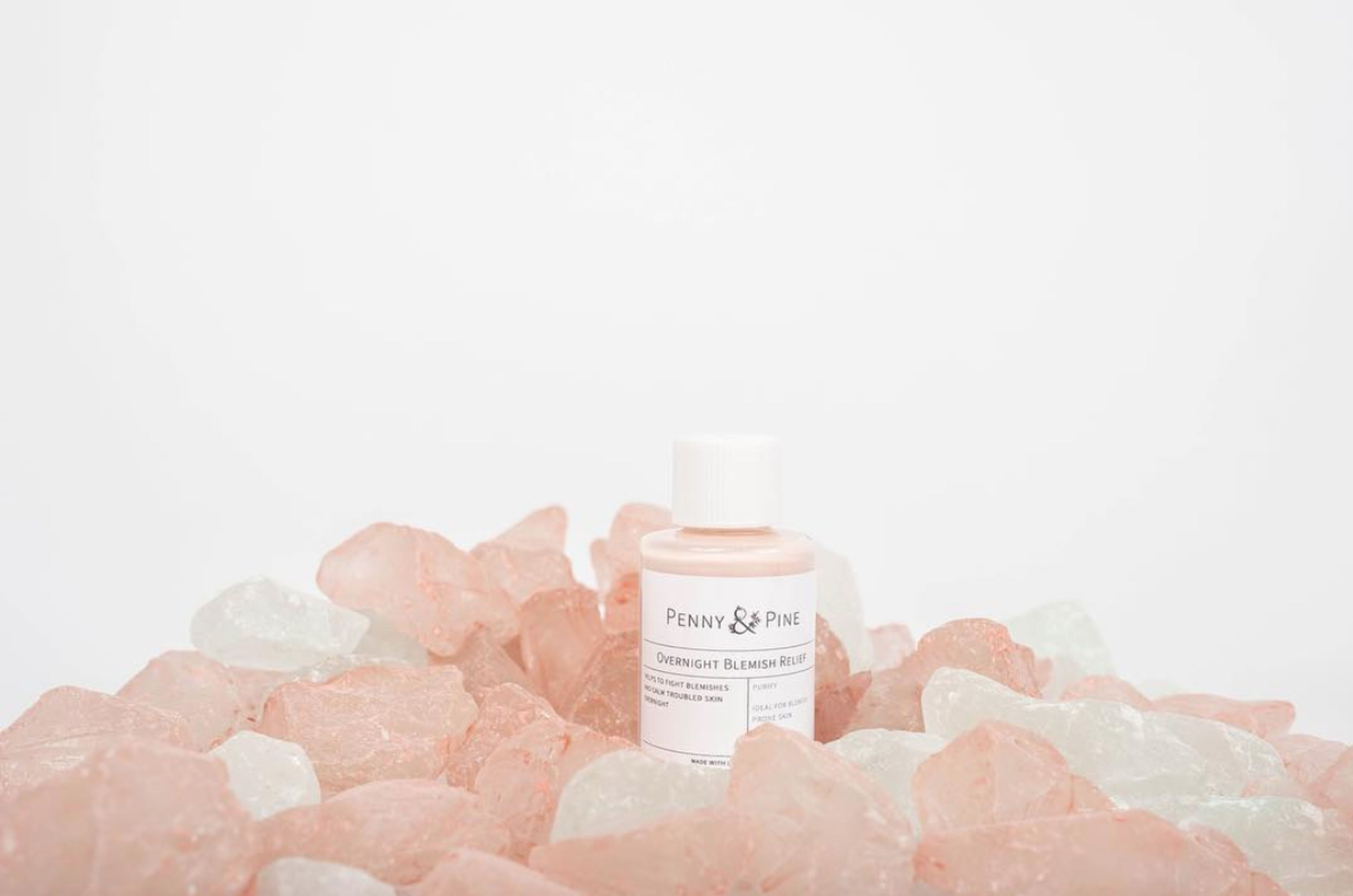 Cover photo of Penny and Pine