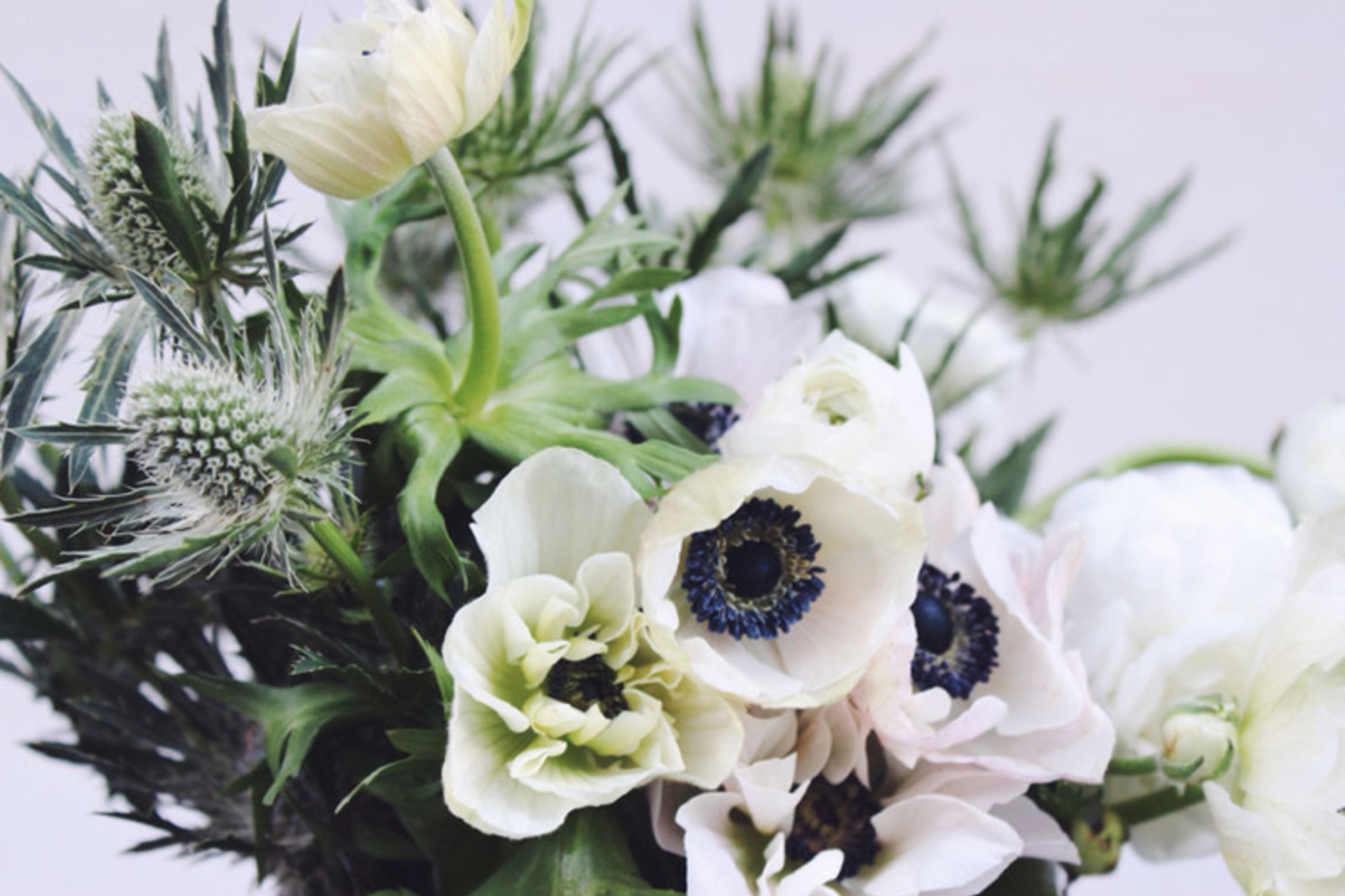 Cover photo of Flower Girl NYC