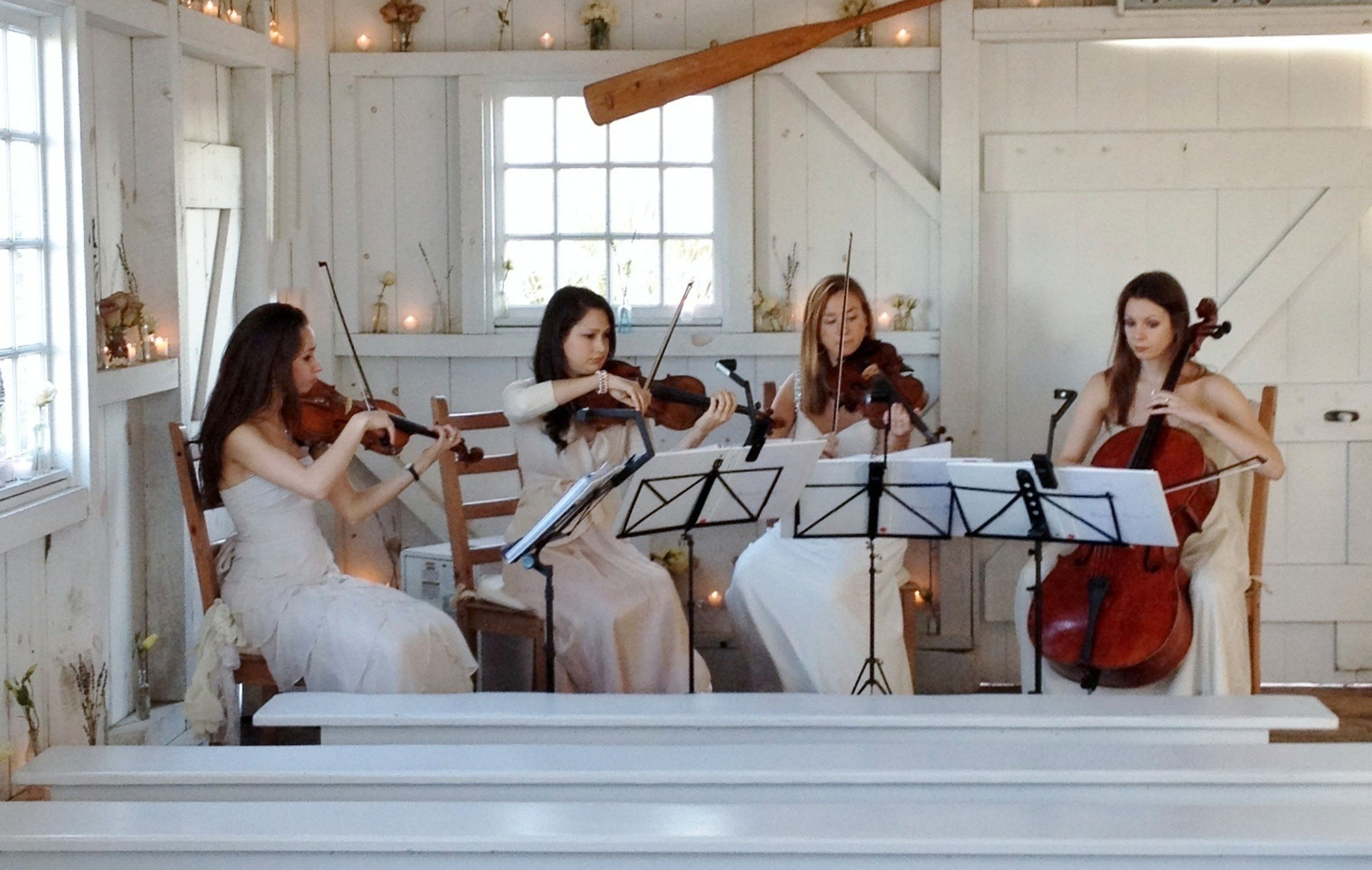 Cover photo of Bianchi Musica Productions