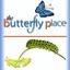 Logo for The Butterfly Place