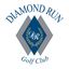 Logo for Diamond Run Golf Club
