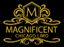 Logo for Magnificent Chicago Limo
