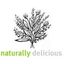 Logo for Naturally Delicious