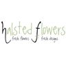 Logo for Halsted Flowers