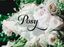 Logo for Posy Floral + Event Styling
