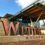 Logo for The Witte Museum
